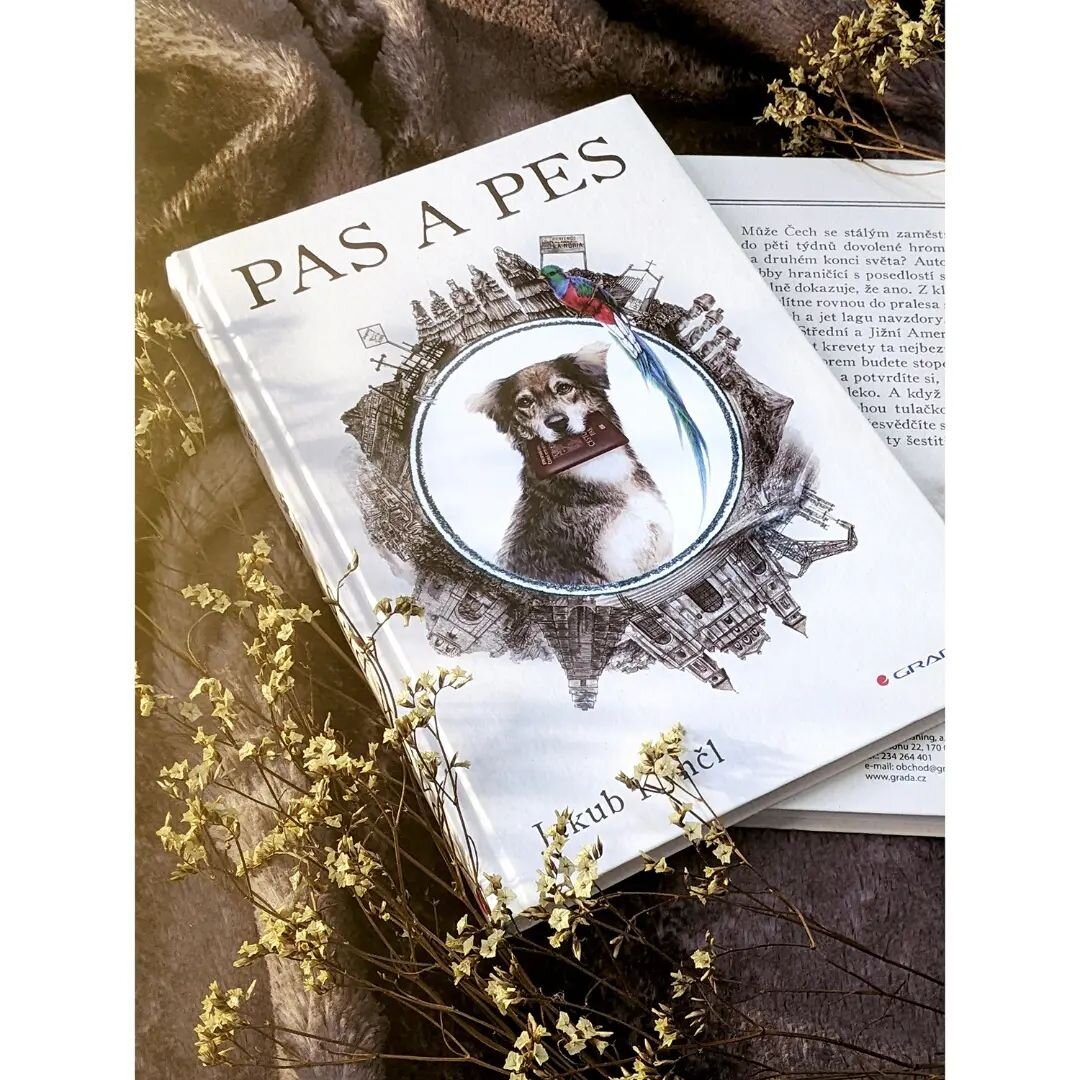 &quot;Pas a pes&quot; book cover illustrations 🐕🐶
To know more about the story behind it, please read the new article in my blog =&gt; Link via Linktree in my Bio 🐶🐕

.

.

.

.

.

.

.

#love #peace #kohinoorart #bookillustration #beautiful #bo