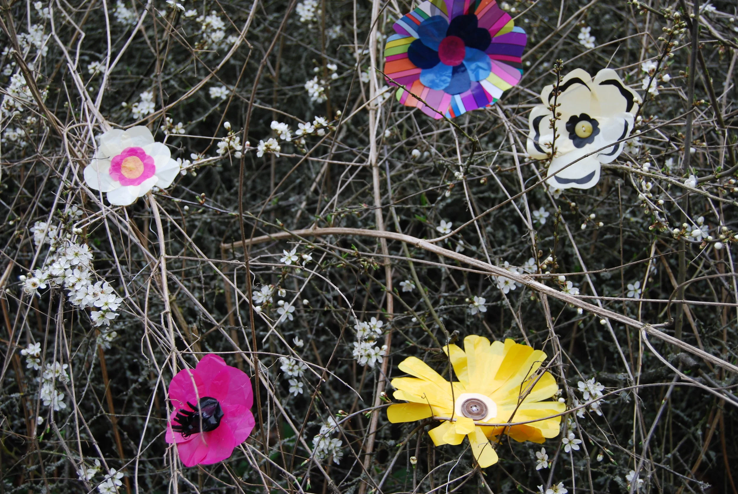flowers33.JPG