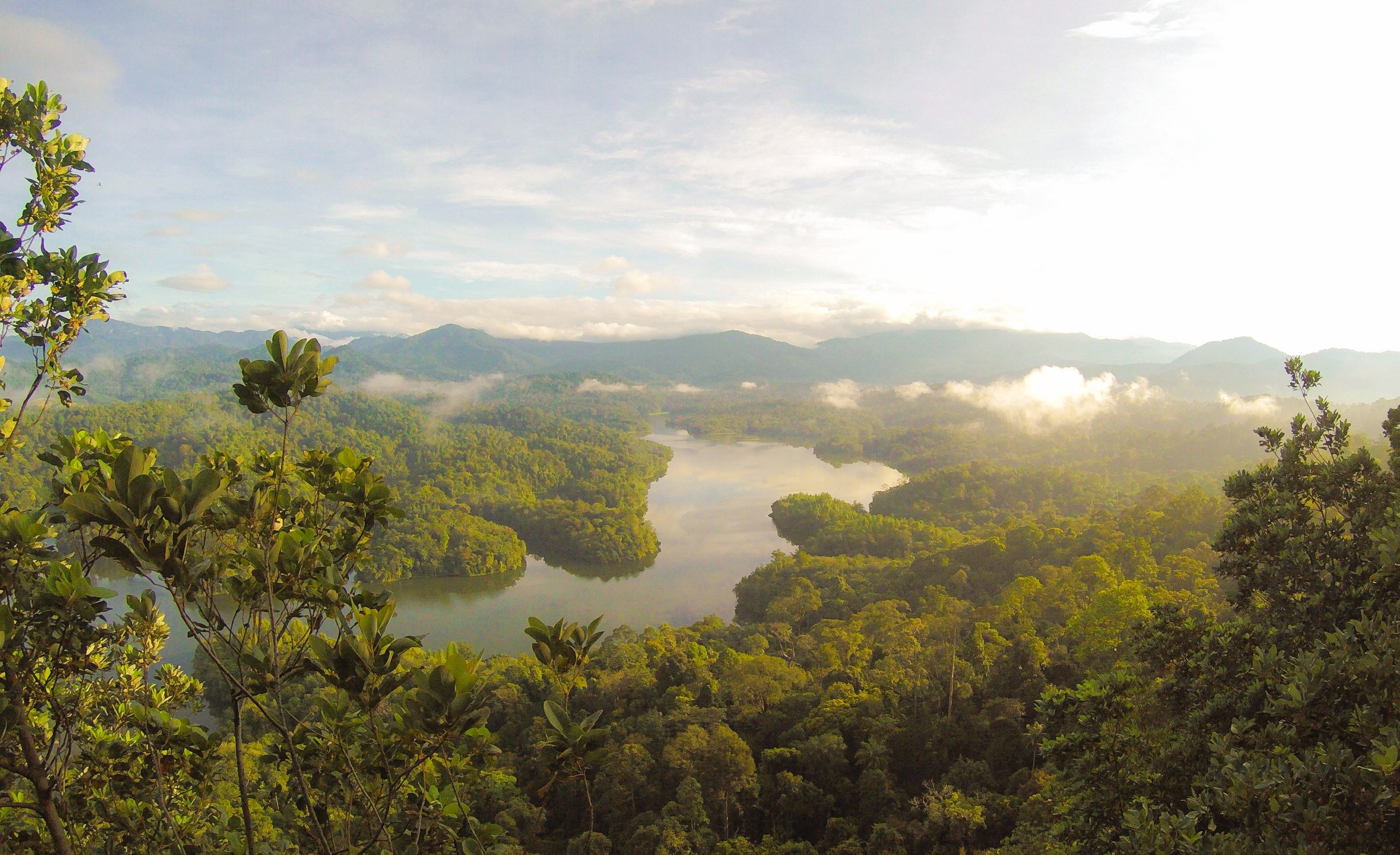 Biomimicry_Landscape.jpg