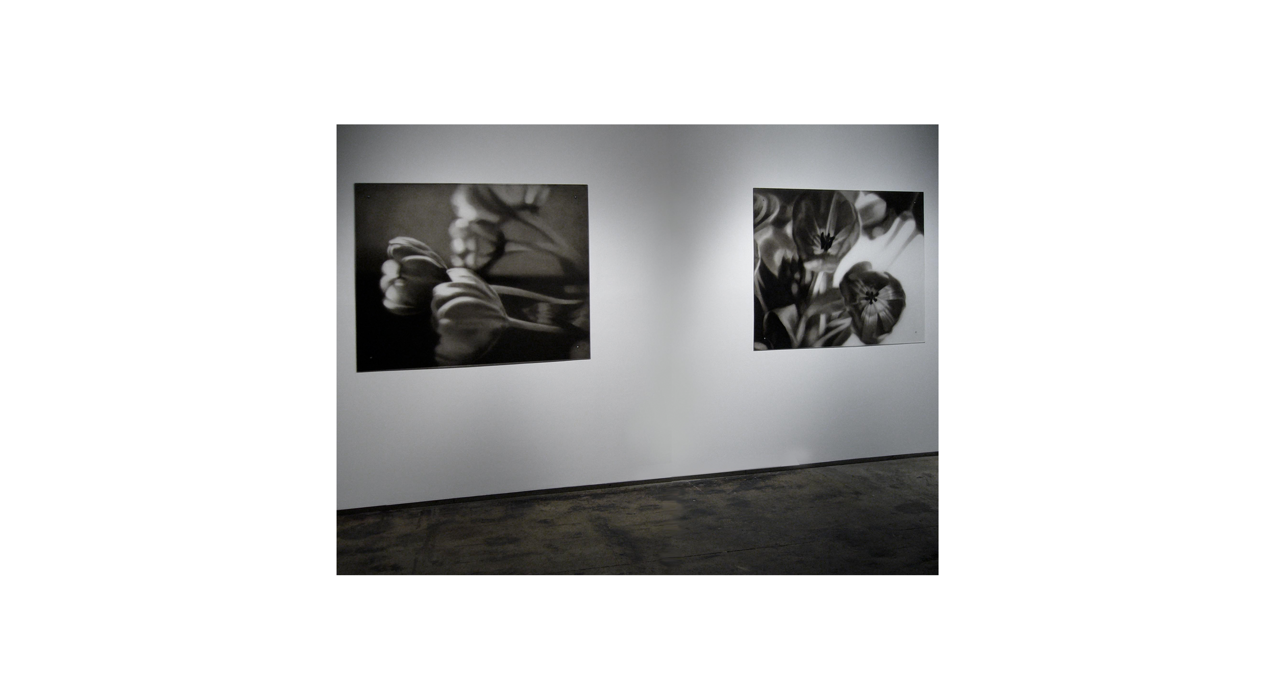 INSTALLATION SHOT