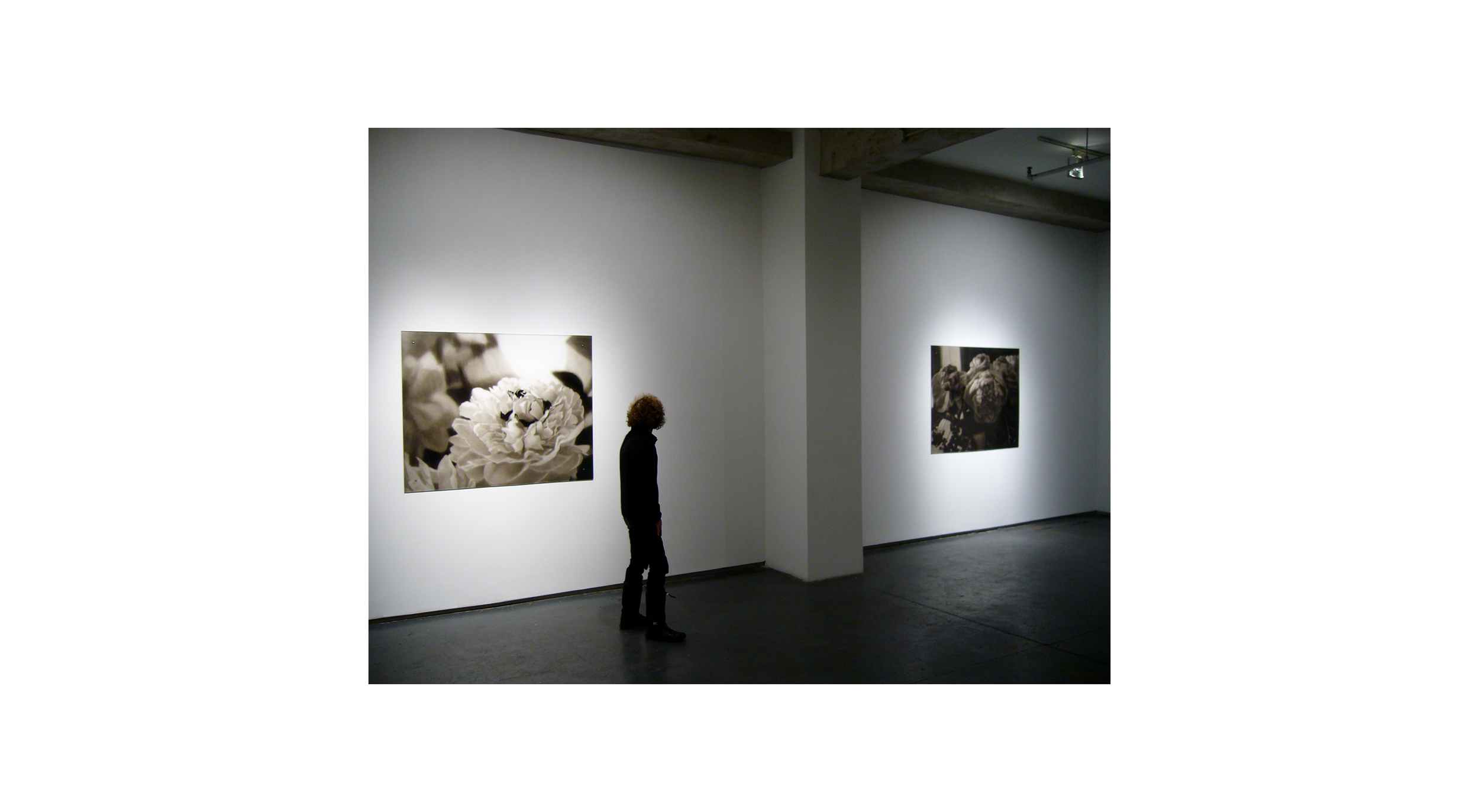 INSTALLATION SHOT
