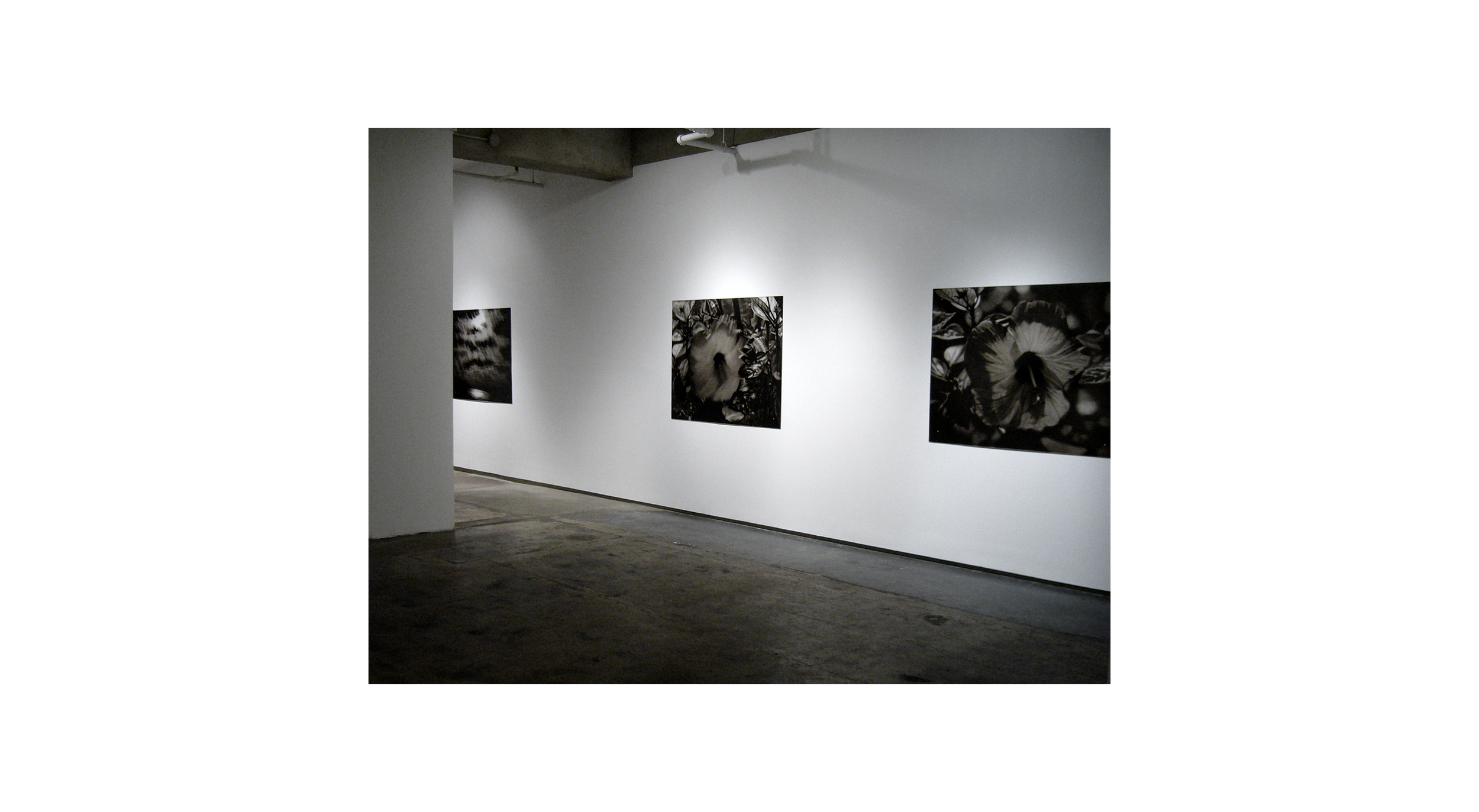 INSTALLATION SHOT
