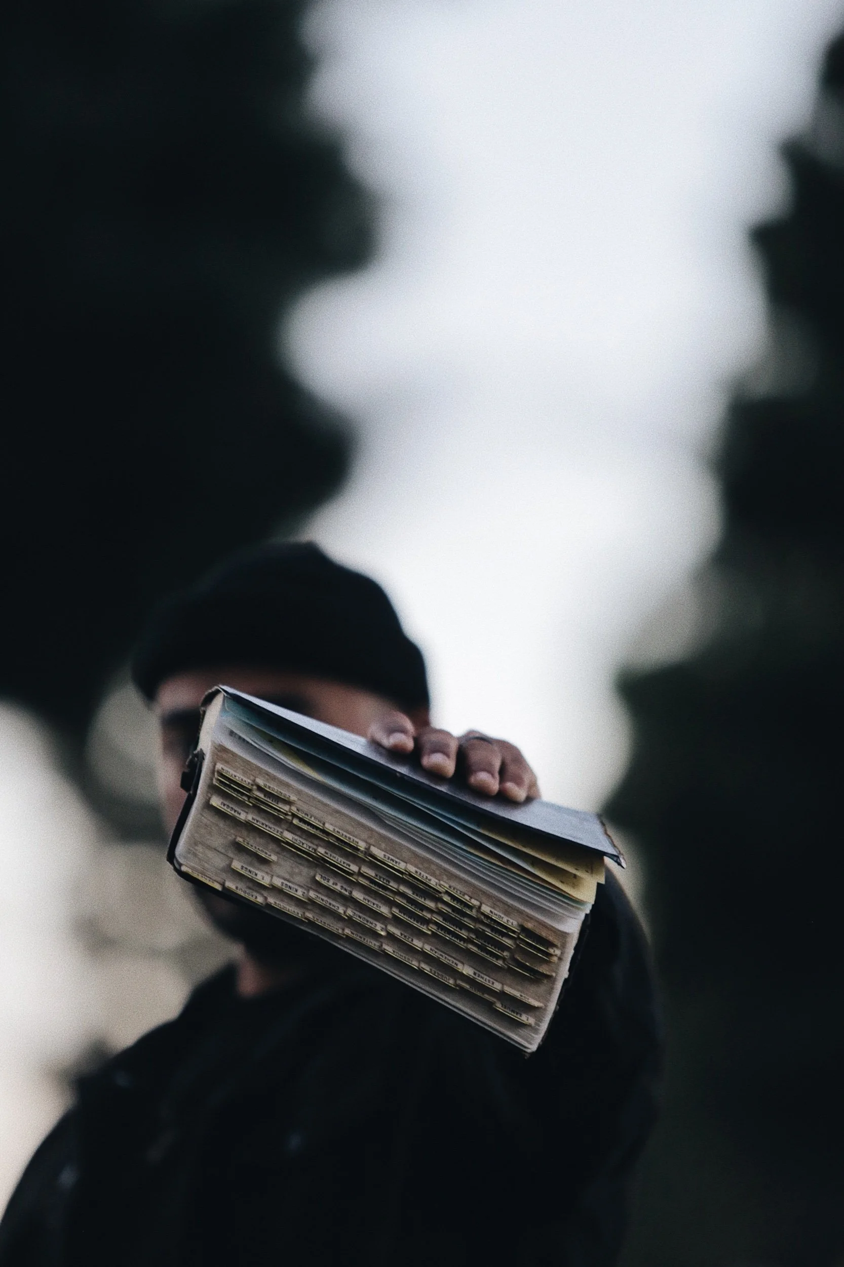 Profession of Faith for Pleasing God  