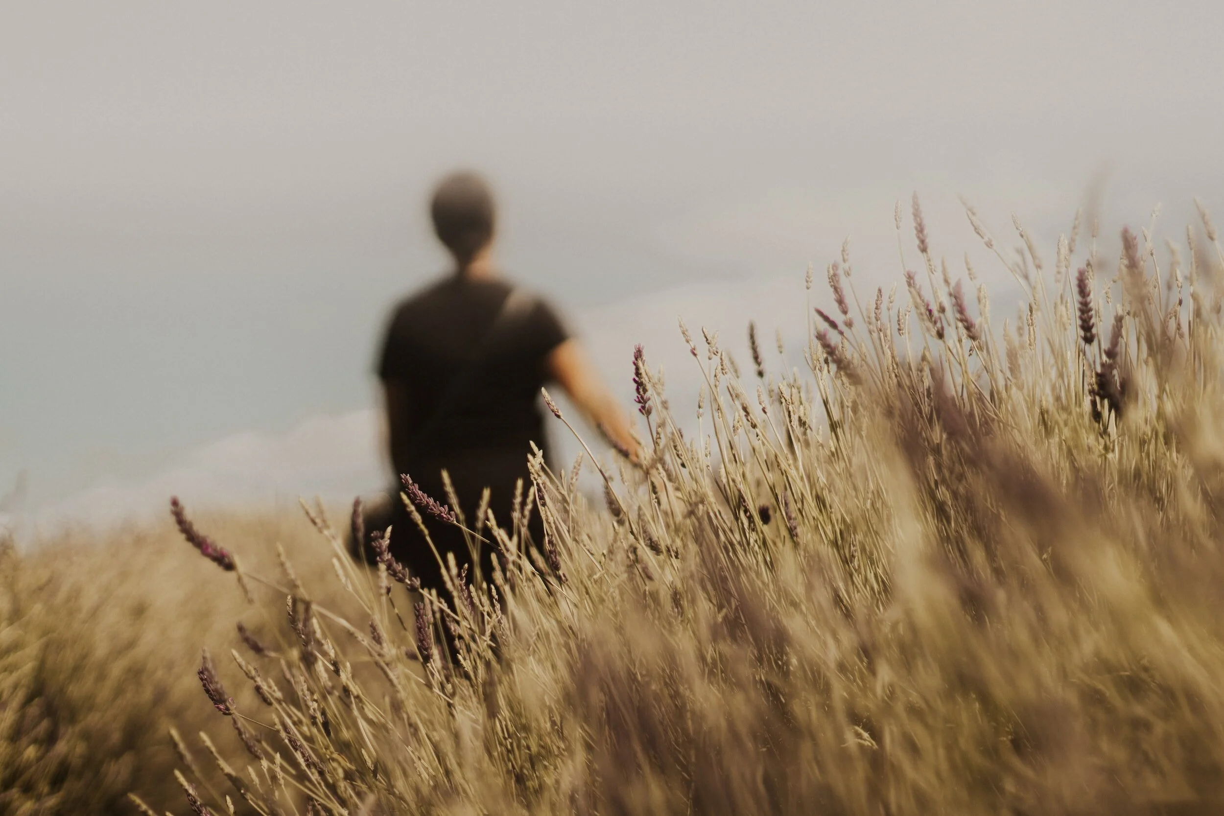 Boldly Following God’s Leading