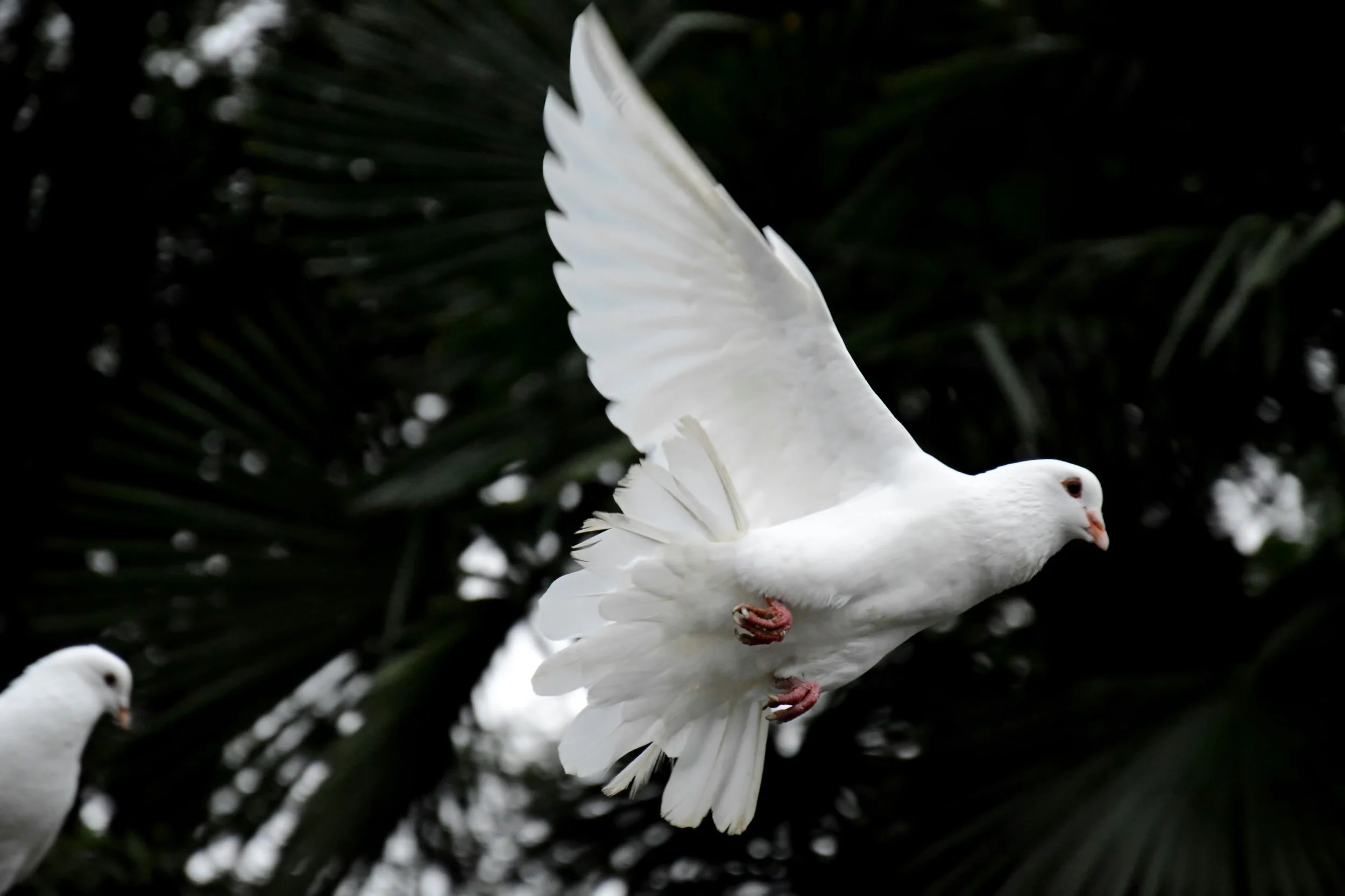 Cultivating Relationship with the Spirit 