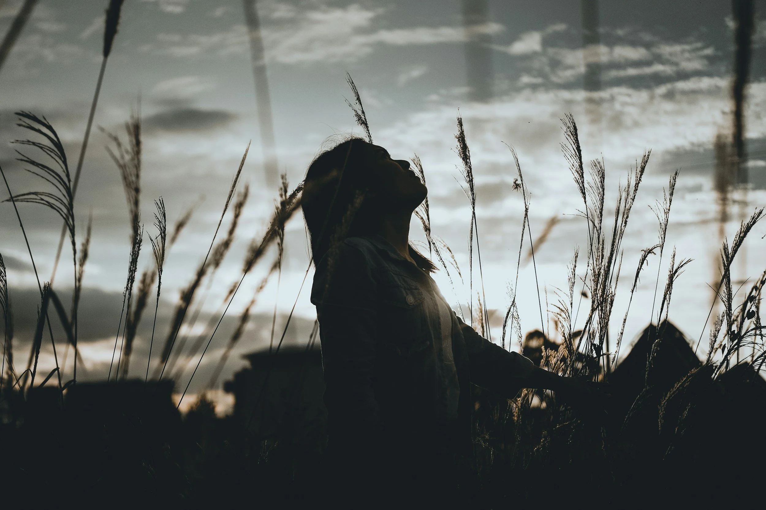 The Confession Continuance