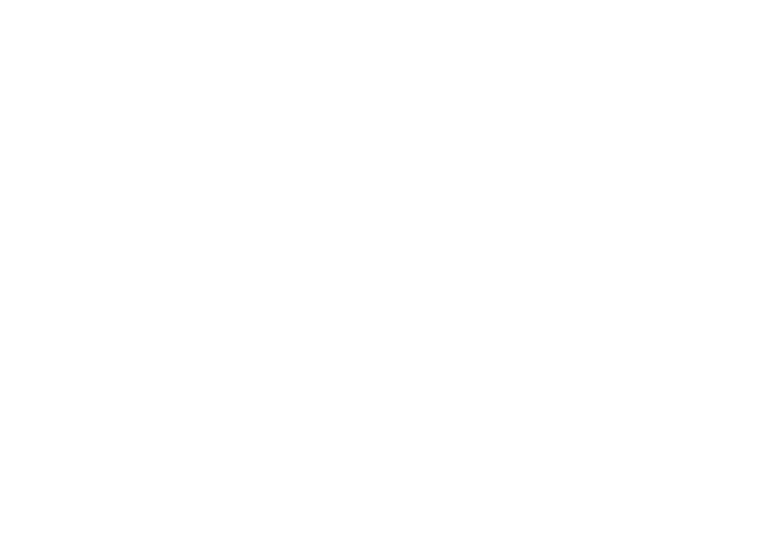 THE WINE CELLAR