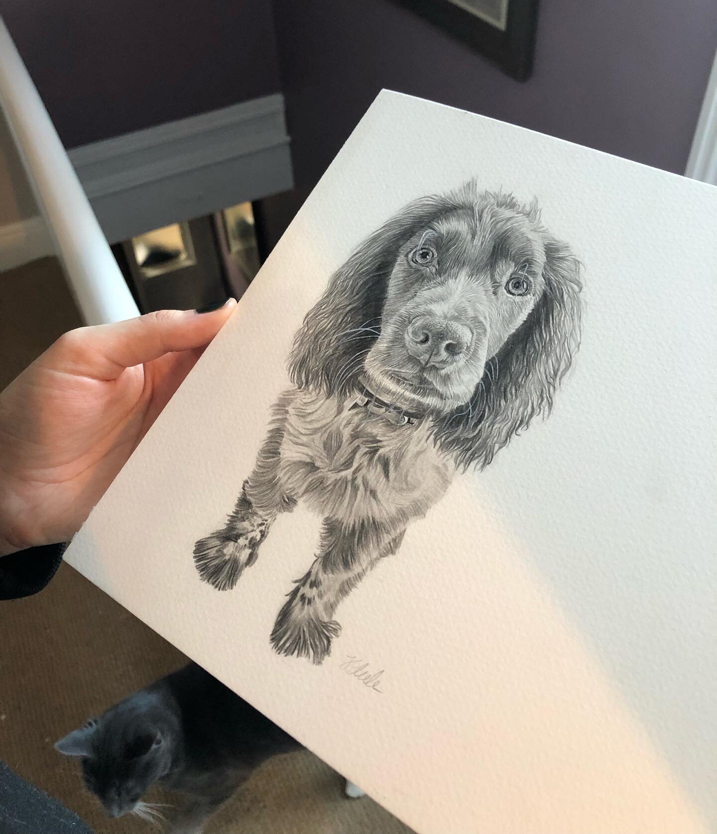 If your looking for something more affordable as a little present idea or just for yourself, I&rsquo;m looking at doing smaller drawings like Truffle here ⬆️🐶

Message me with any ideas you might have!