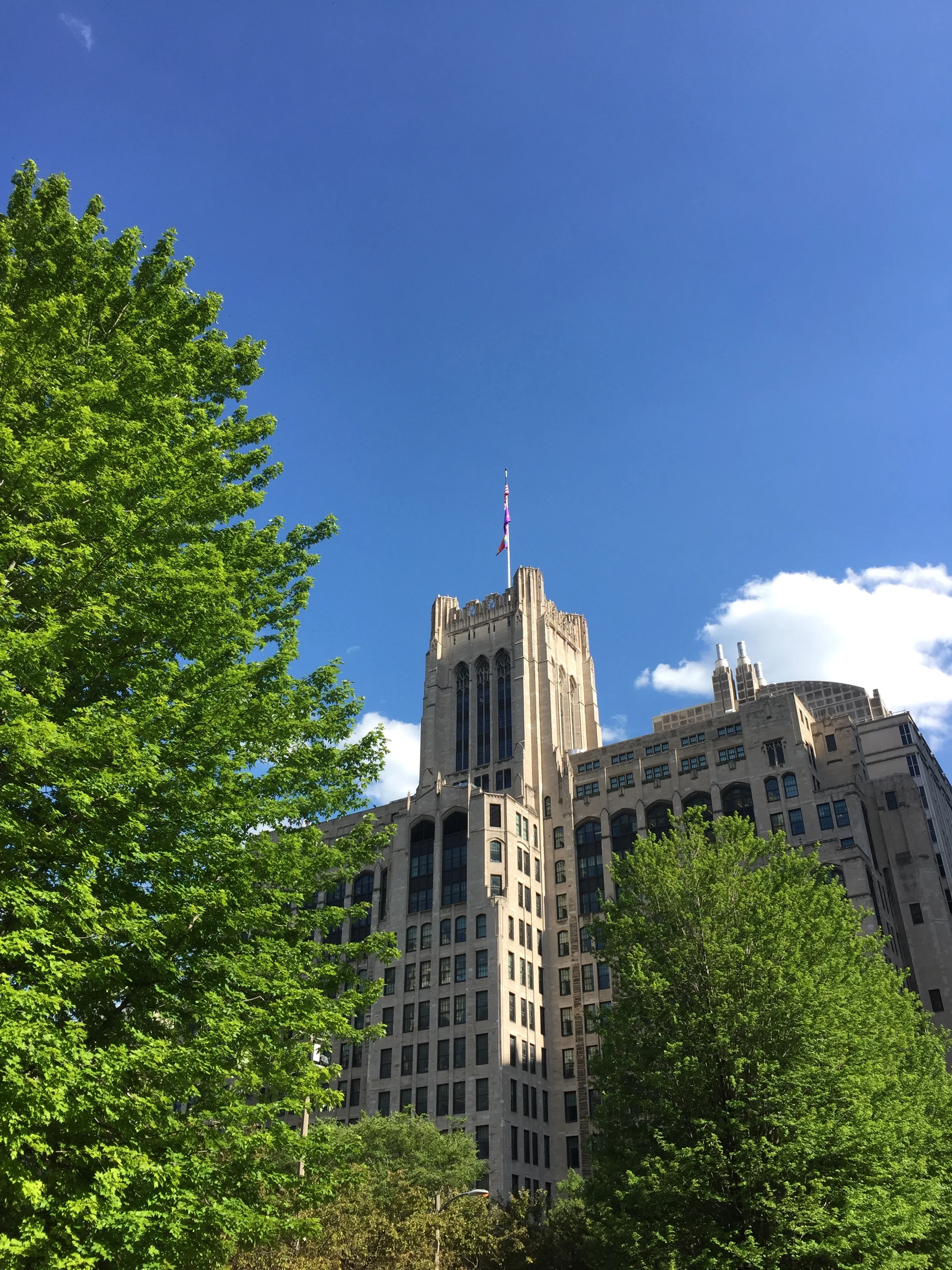 Northwestern Campus in Chicago
