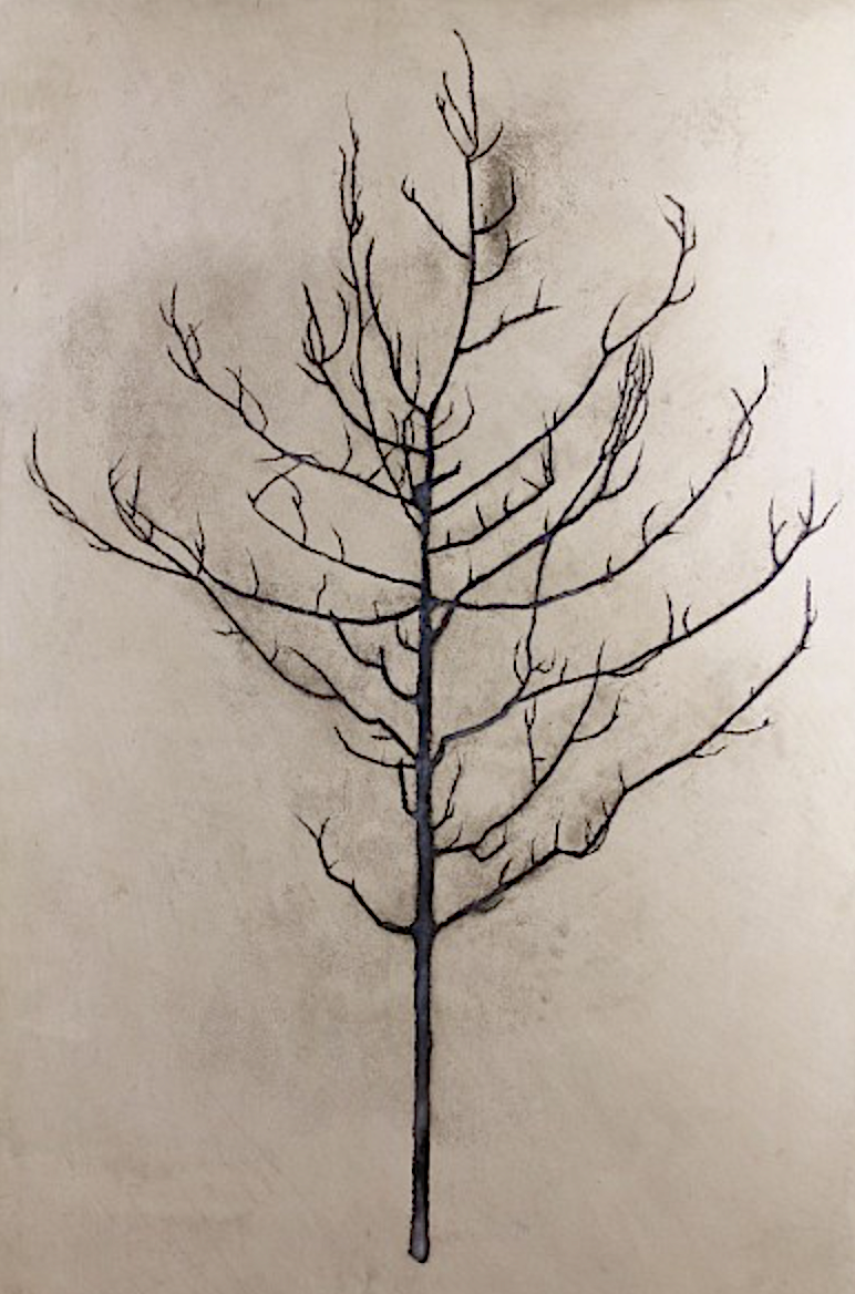 Camborne Tree