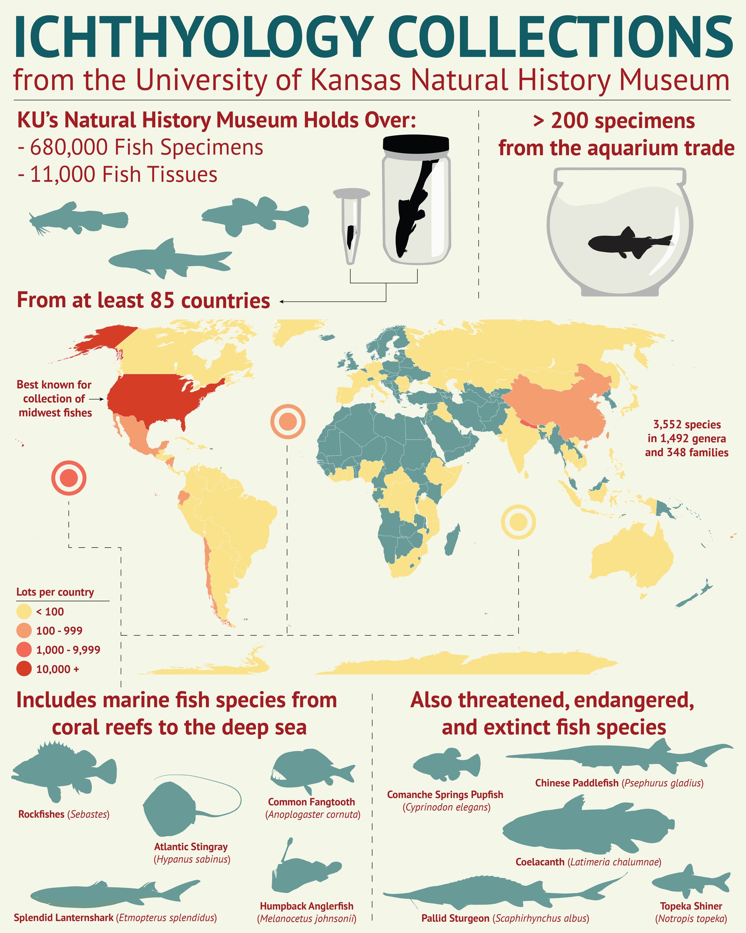 Ichthyology_Collections_Infographic_small.jpg