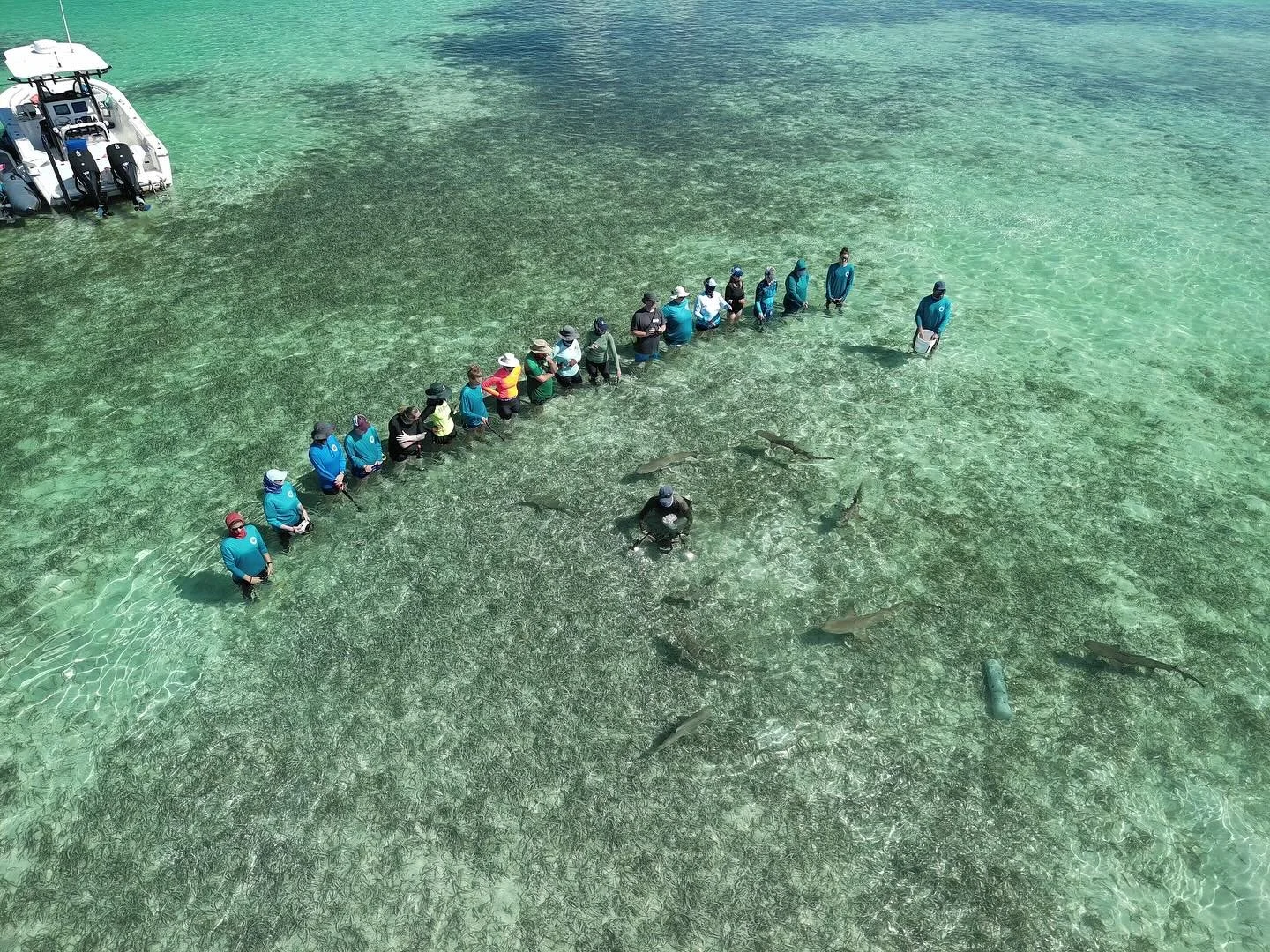 @baylie_amberr spent two weeks this summer helping lead the Teacher and Educator Scholarship Course at the @biminisharklab.

These courses are designed for educators from the US, Canada, and The Bahamas to experience the marine environment and learn 