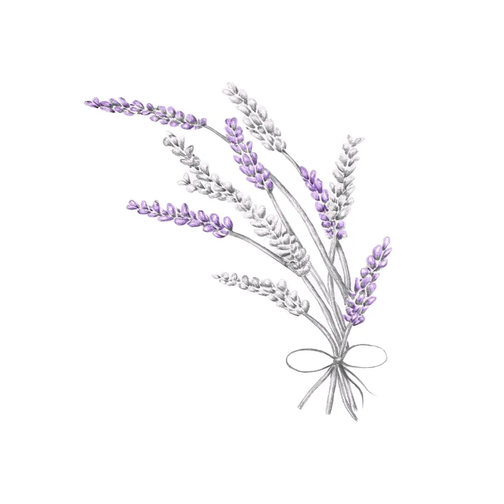 lavender.jpg