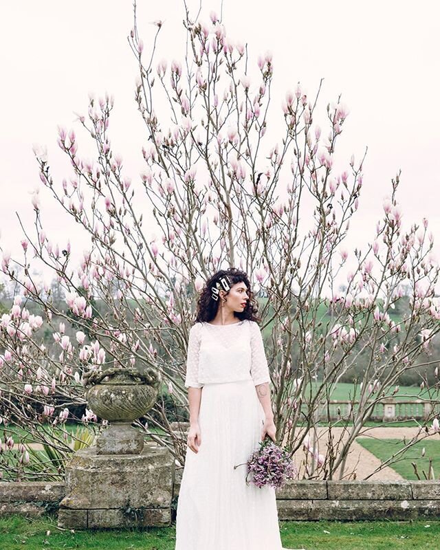 I am just loving the magnolia blossom out at the moment! Thank you spring! 🌿⠀⠀⠀⠀⠀⠀⠀⠀⠀
📸 From a styled shoot with this talented team: 
Venue: Orchardleigh Estate @orchardleigh_estate
Model: Roseanna Arroyo @_likeher
Dress: Charlie Brear @charlie_bre