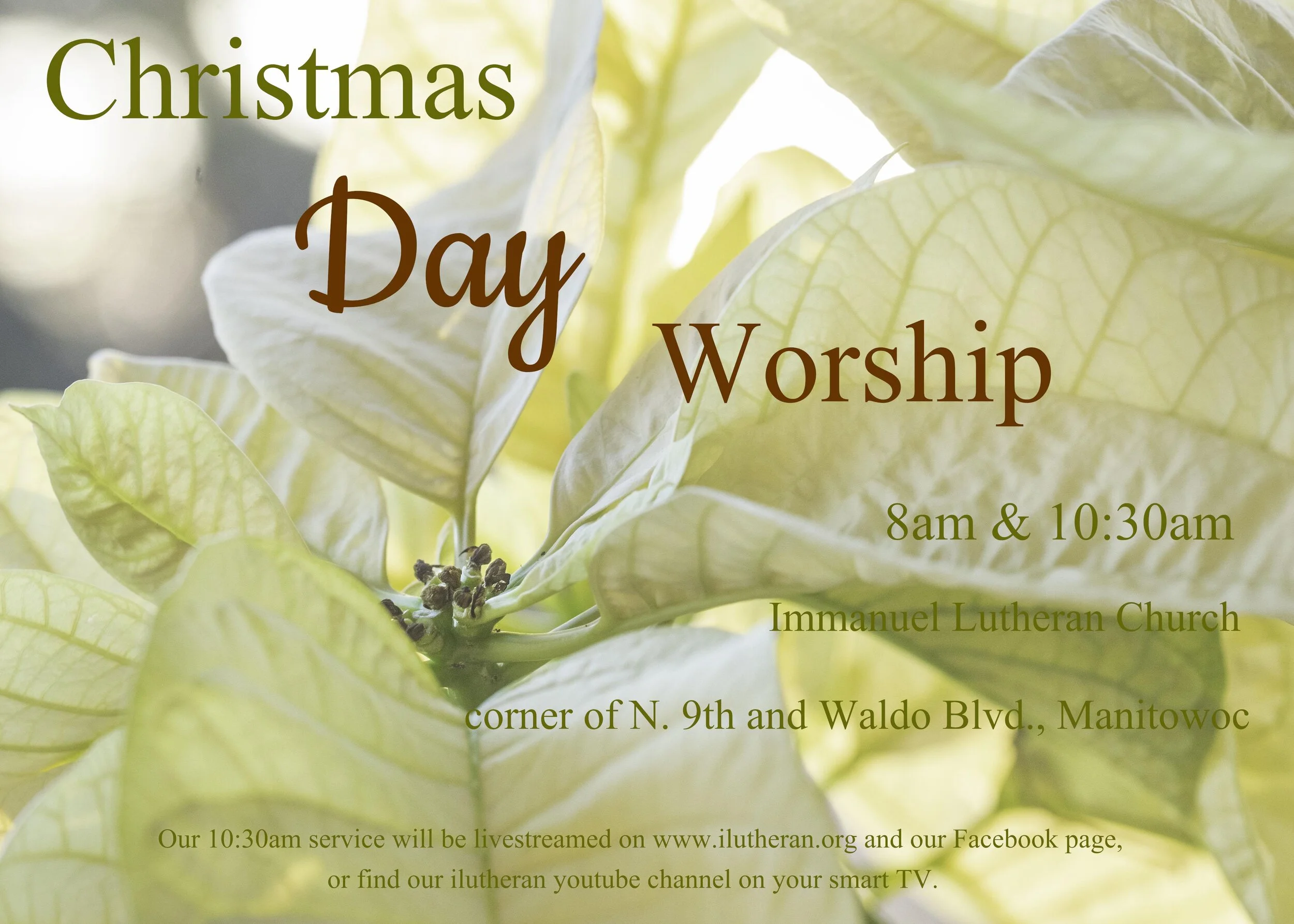 Christmas Day Worship Services