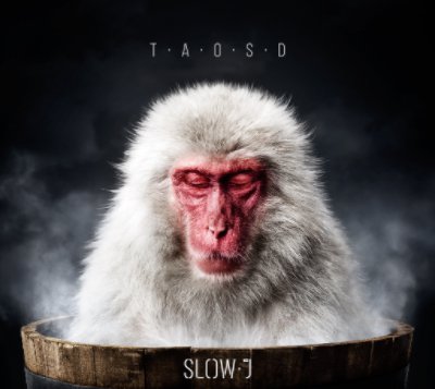 Slow J - The Art Of Slowing Down