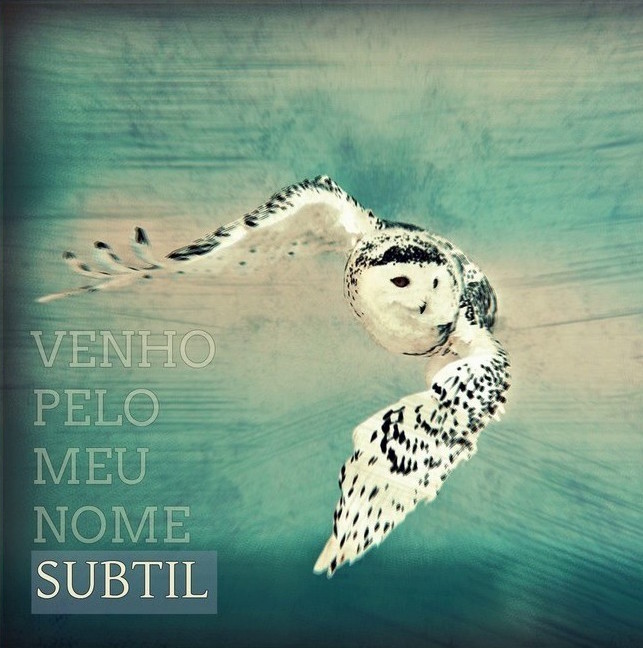 Subtil - Eu venho pelo meu nome