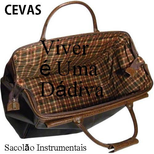 CEVAS - VIVER É UMA DÁDIVA EP