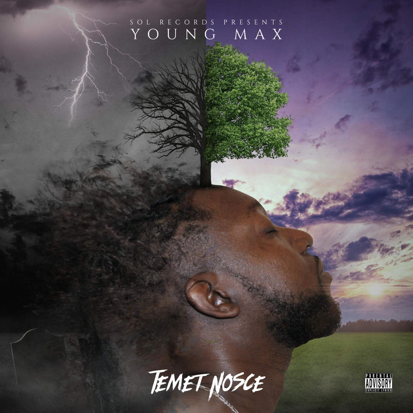 100-YOUNG MAX - Temet Nosce