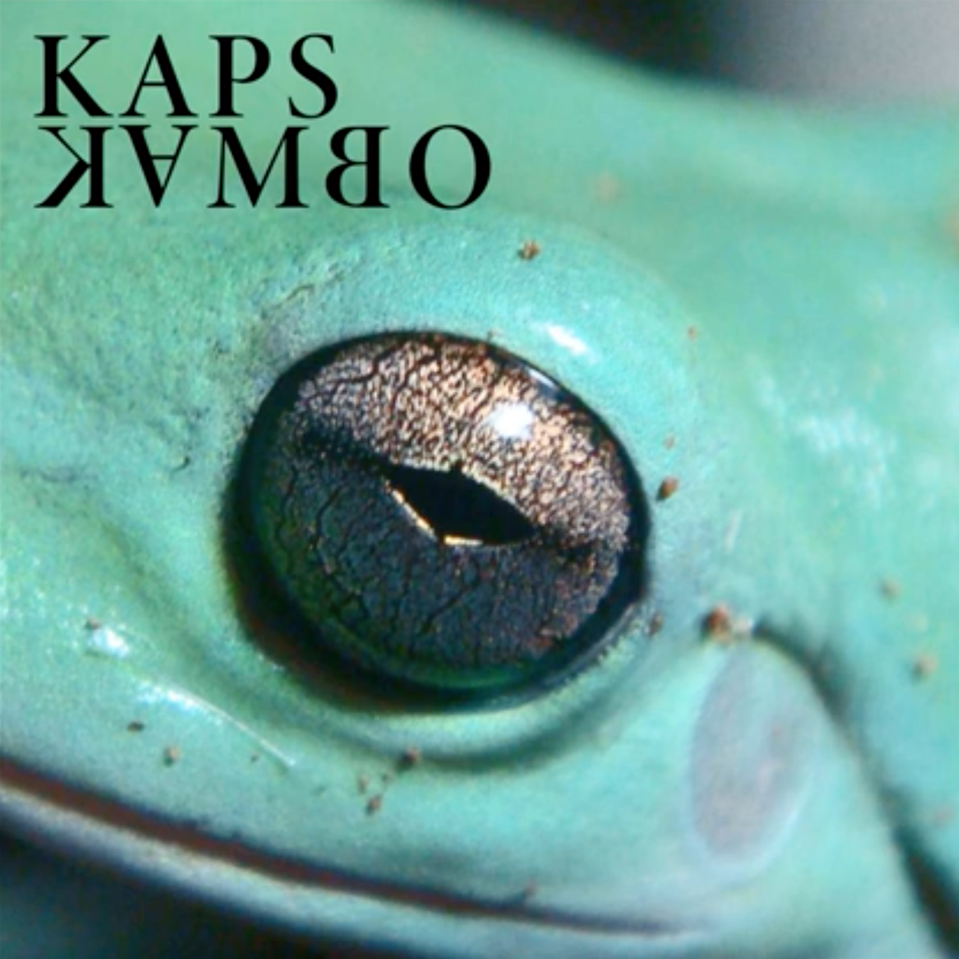 32 - KAPS - mixtape KAMBO