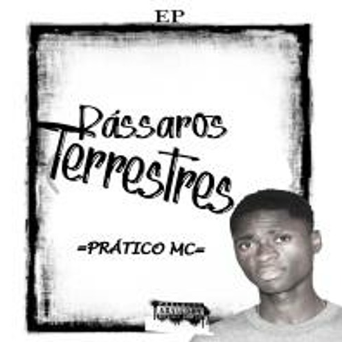 51. Prático Mc - ep Pássaros Terrestres