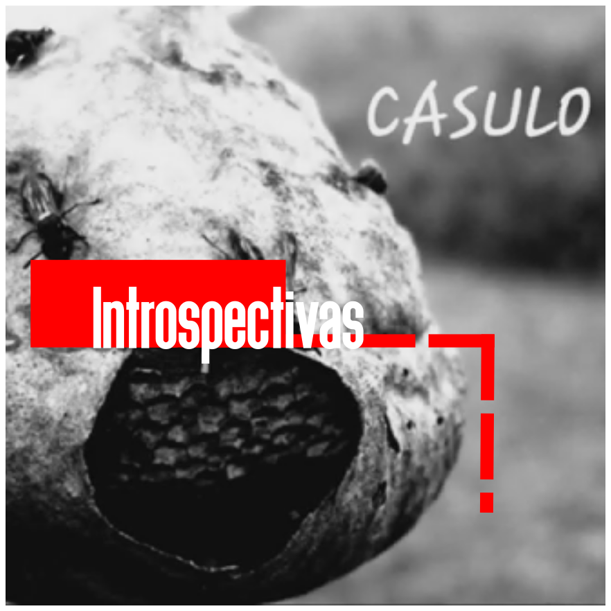 9. Casulo - mixtape Introspectivas