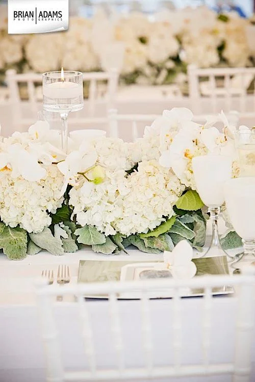 Malloy Weddings | New England wedding planner | Maine coast tented wedding