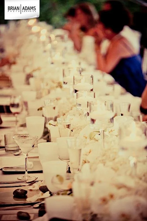 Malloy Weddings | New England wedding planner | Maine coast tented wedding