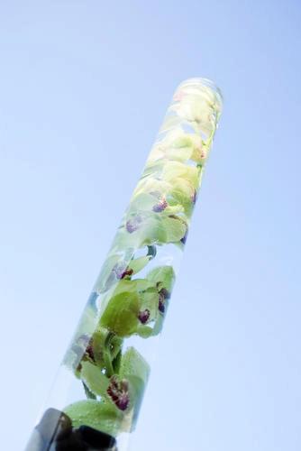 Malloy Weddings | New England wedding planner | Nantucket Golf Club wedding | cymbidium orchid centerpiece