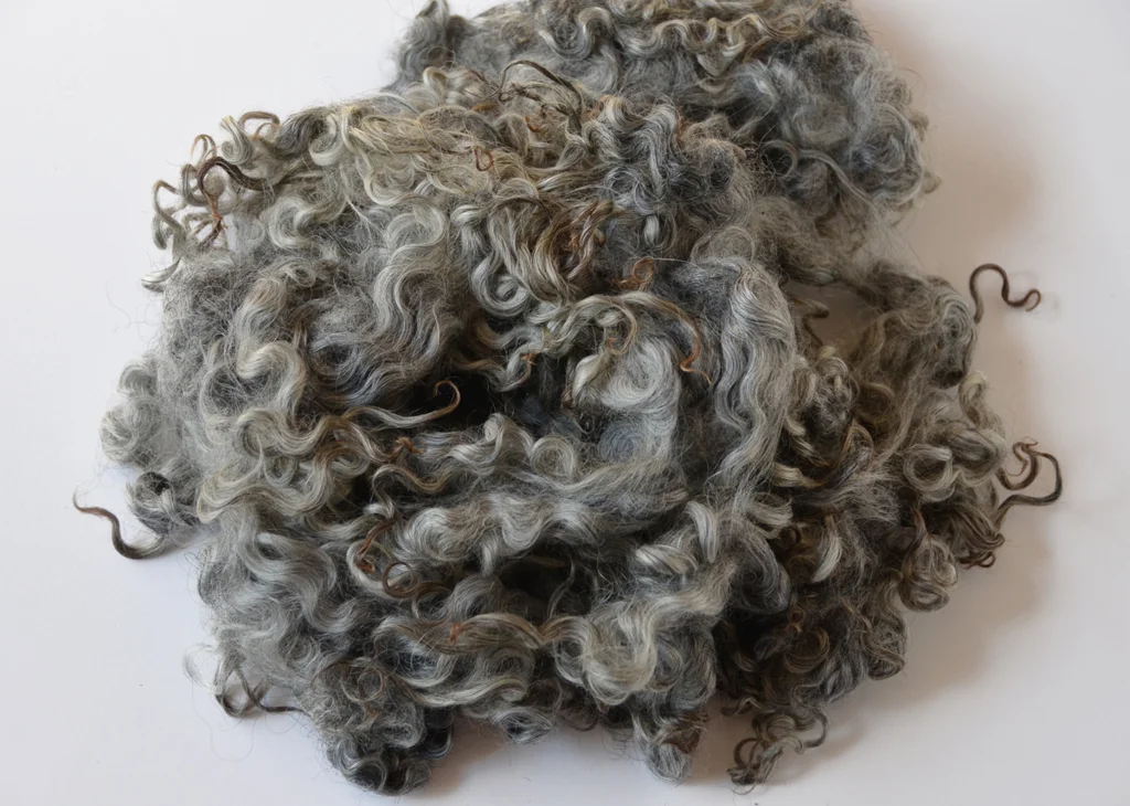 Norsk Pelssau Fleece © 222 Handspun