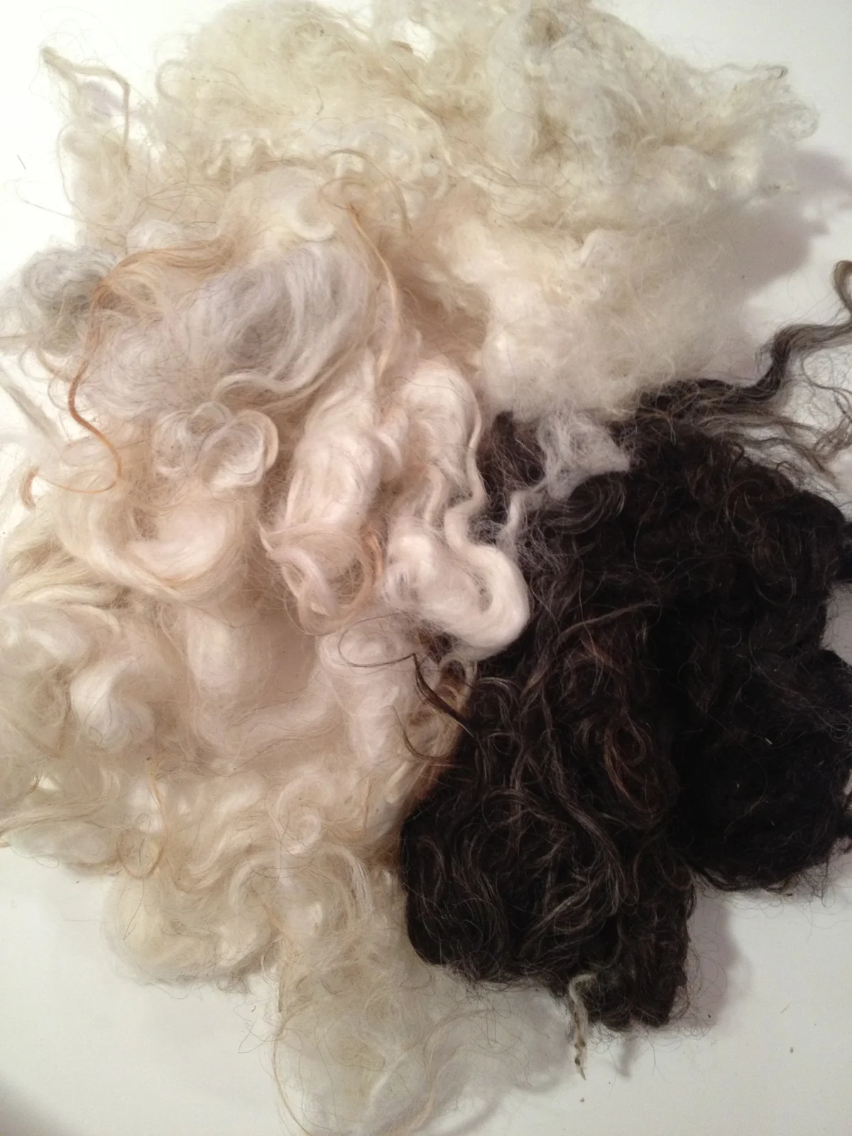 Washed Icelandic Fleece © 222 Handspun