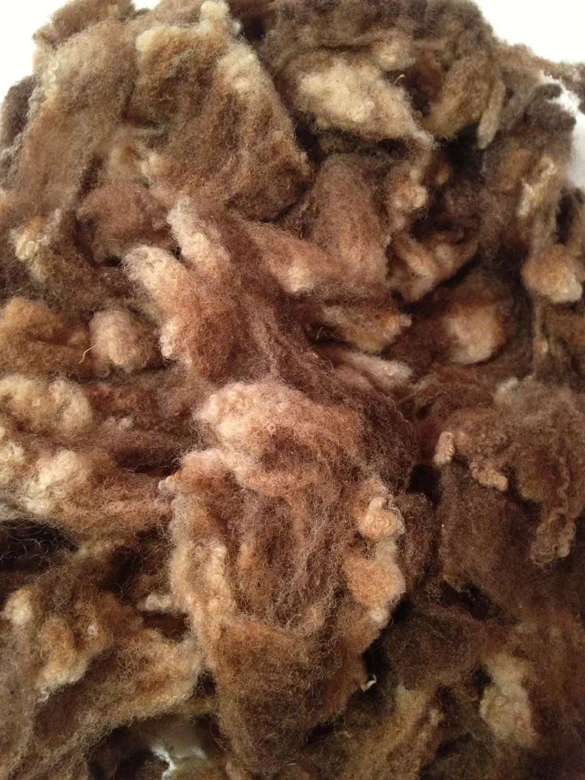 Washed Manx Loaghtan Fleece © 222 Handspun