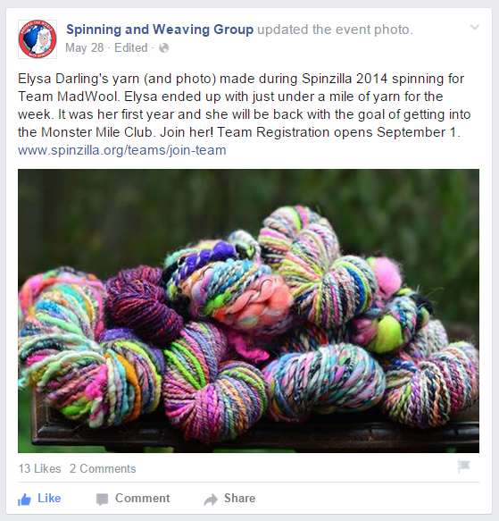 spinzilla 2015 eventpromo Elysa Darling.png