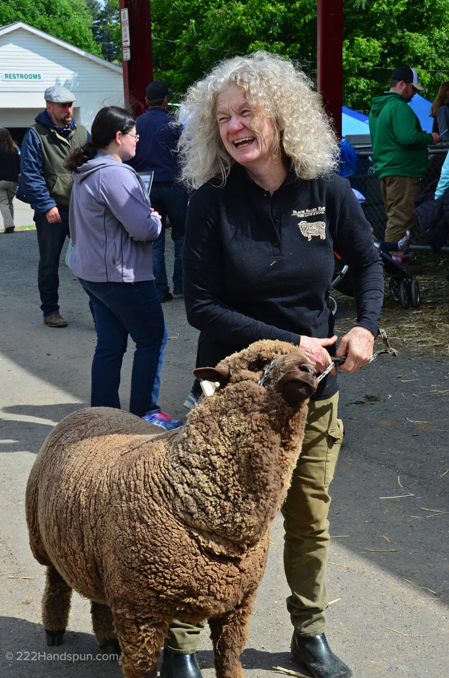 Moorit Merino Sheep MDSW 2017 Black Sheep Farm