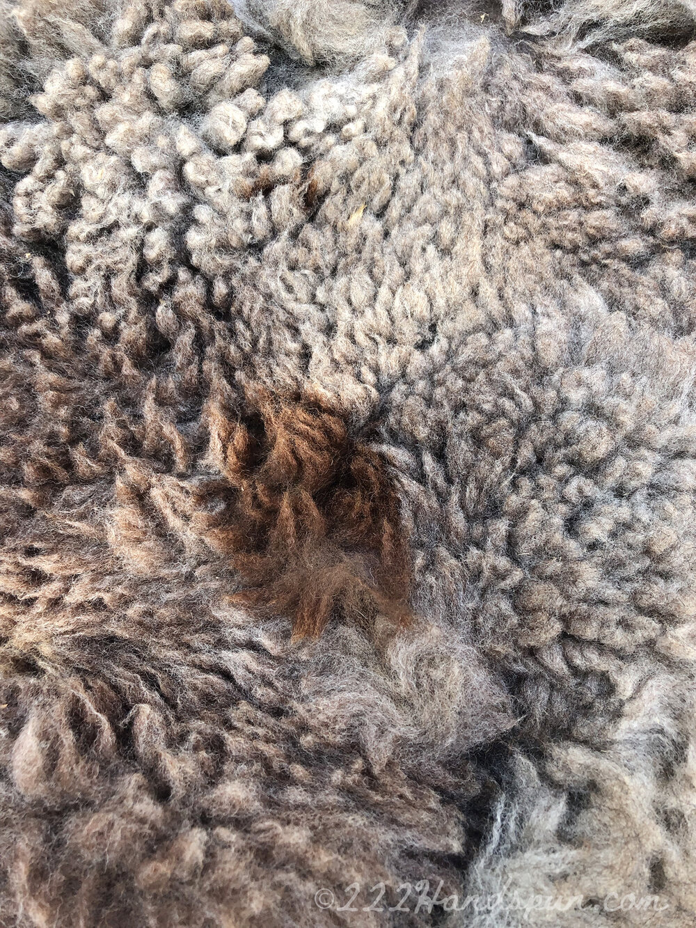 Alpaca Fleece c. 222handspun.com