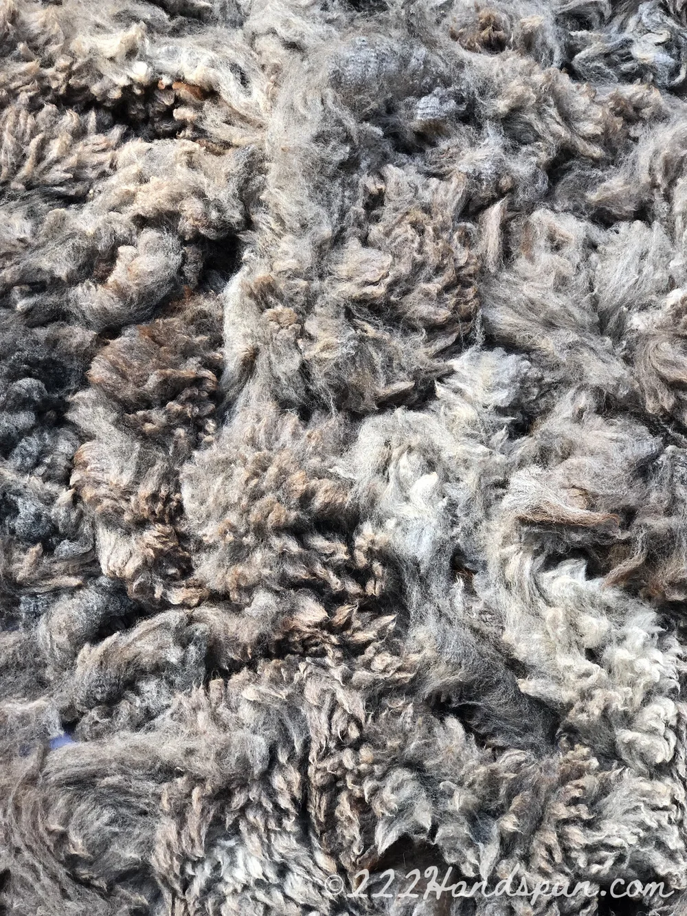 Alpaca Fleece c. 222handspun.com