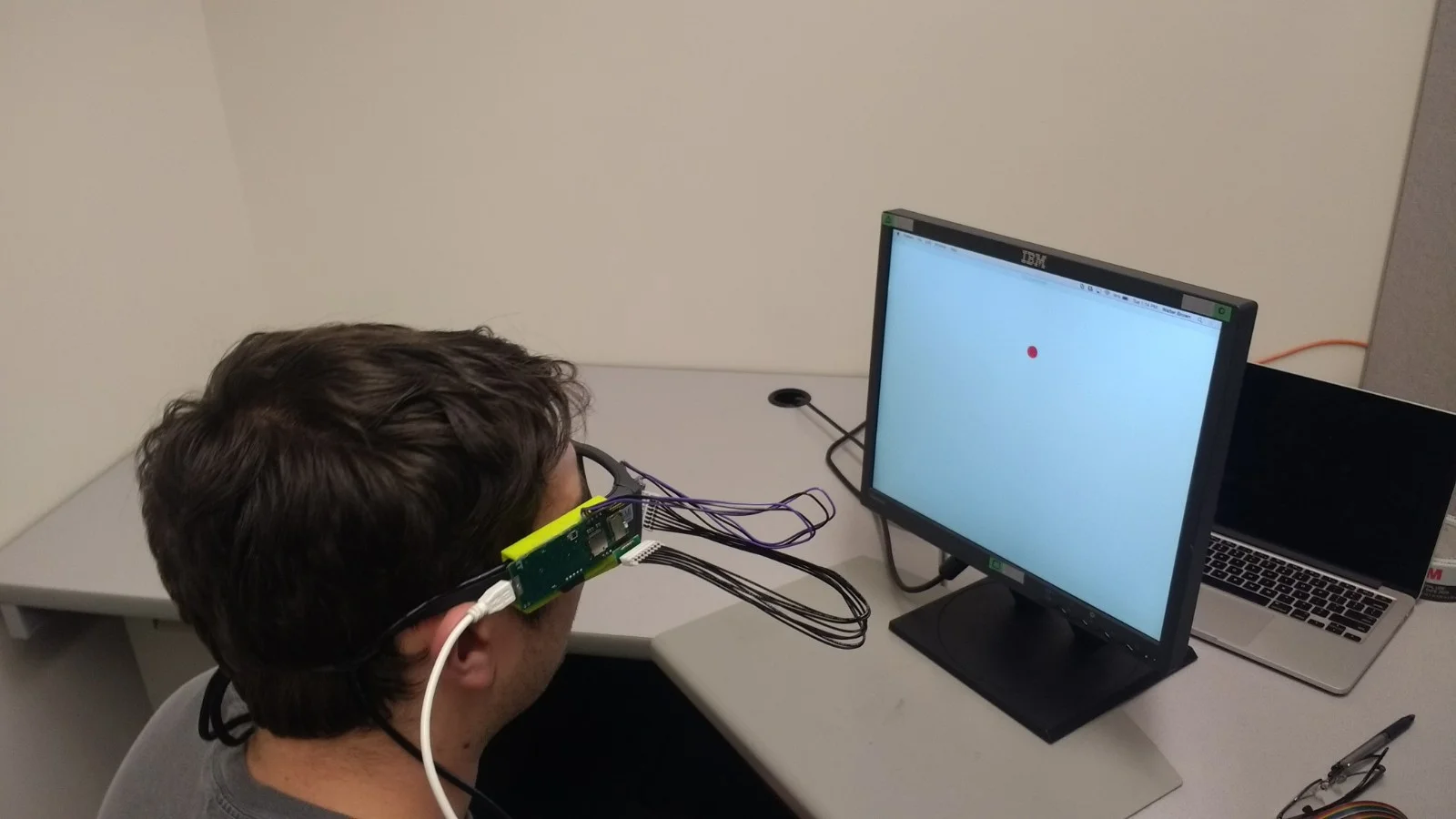 P20 - Walter with eyetracker and screen.jpg