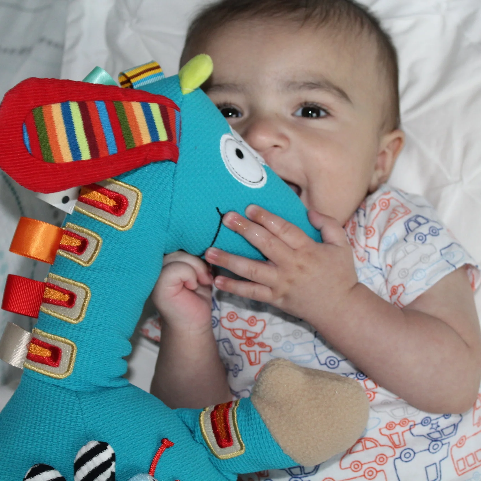 dolce musical giraffe