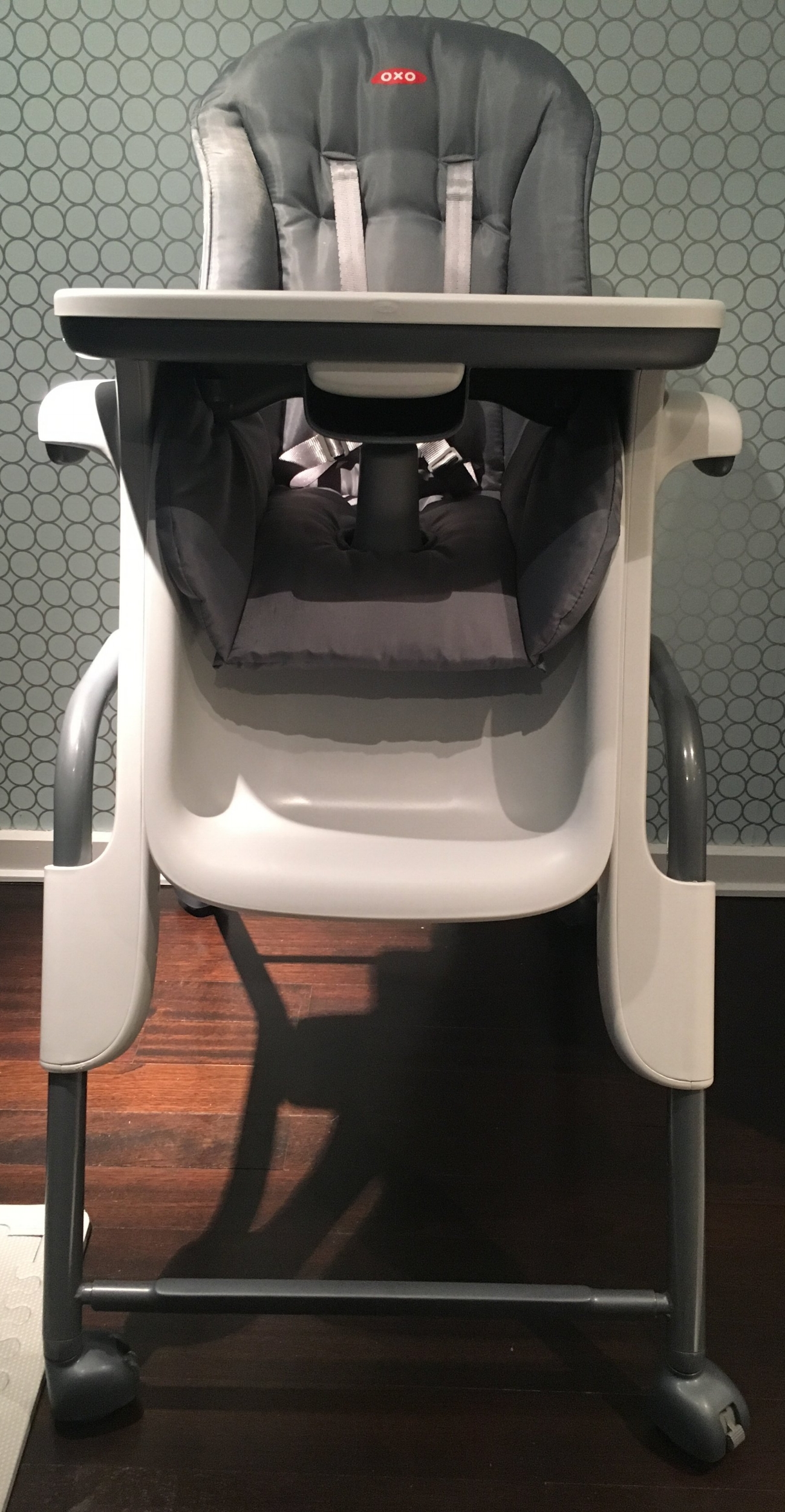 oxo tot seedling