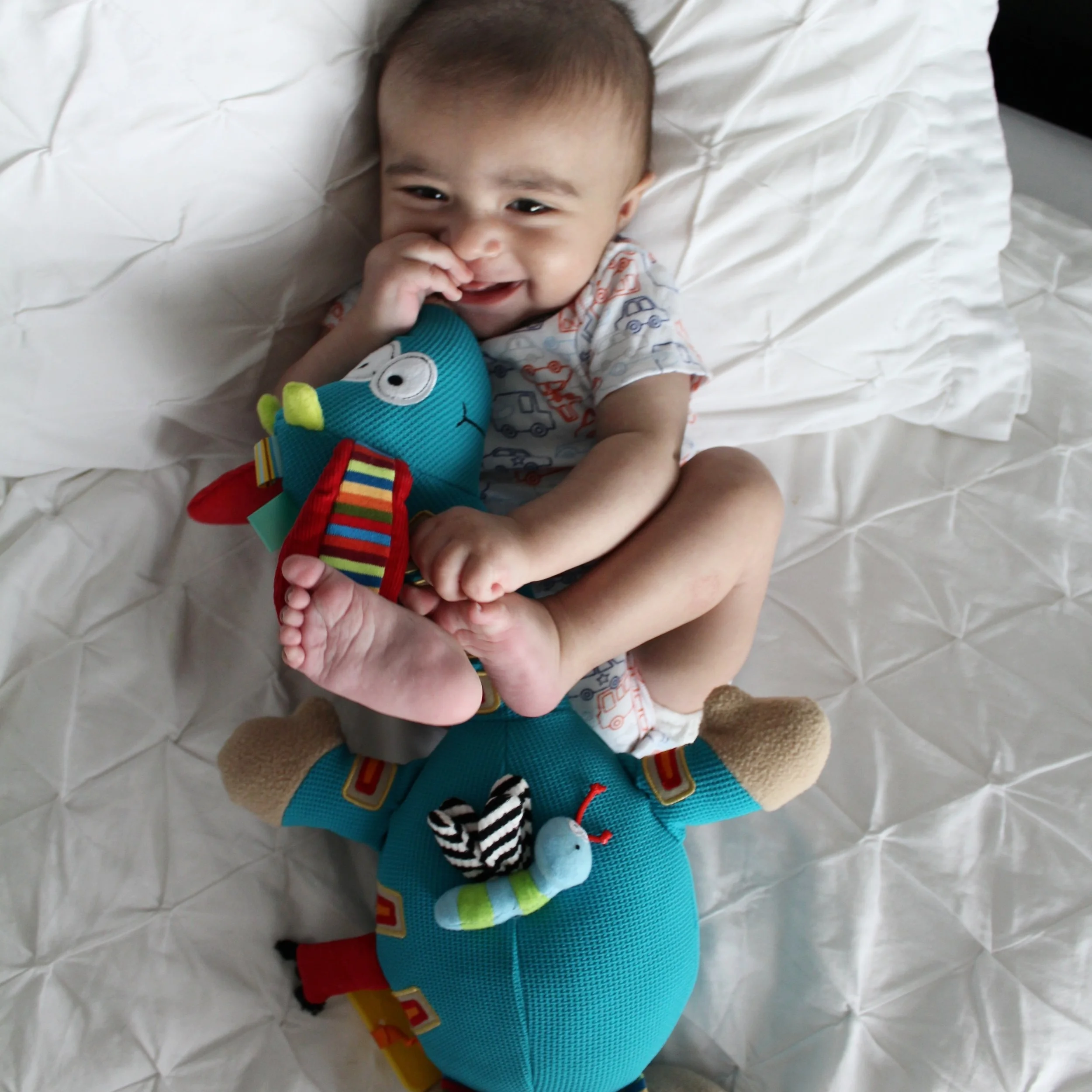 dolce musical giraffe