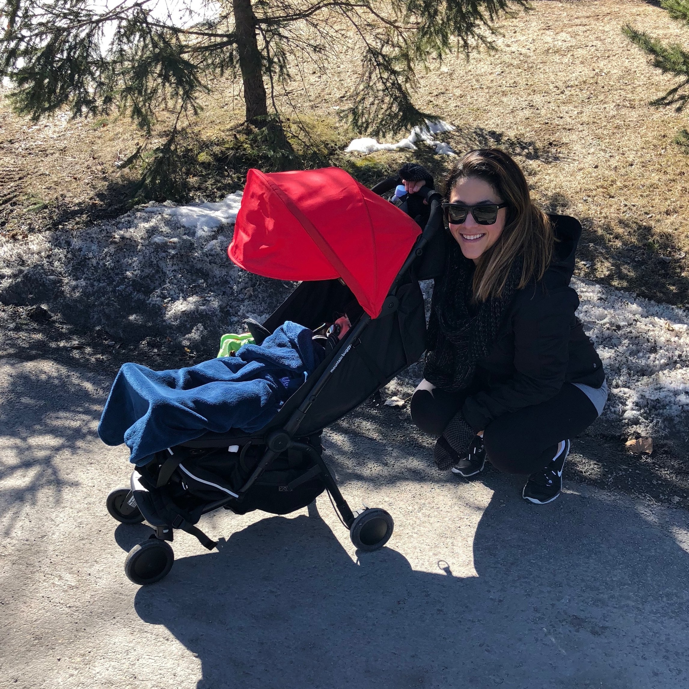 mountain buggy nano canopy