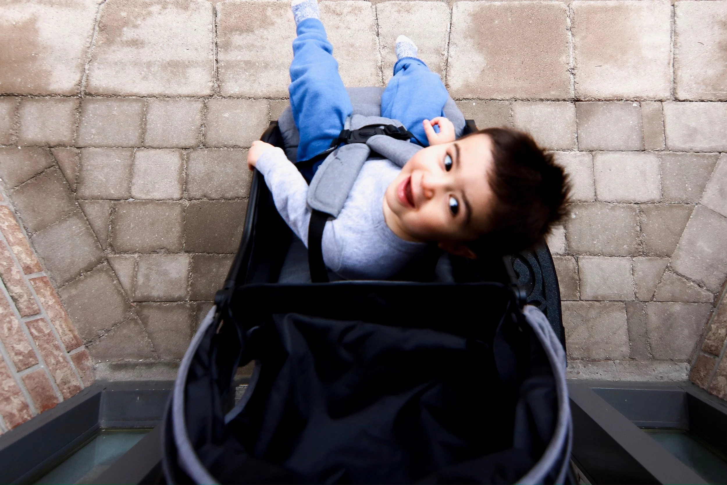 contour bitsy review