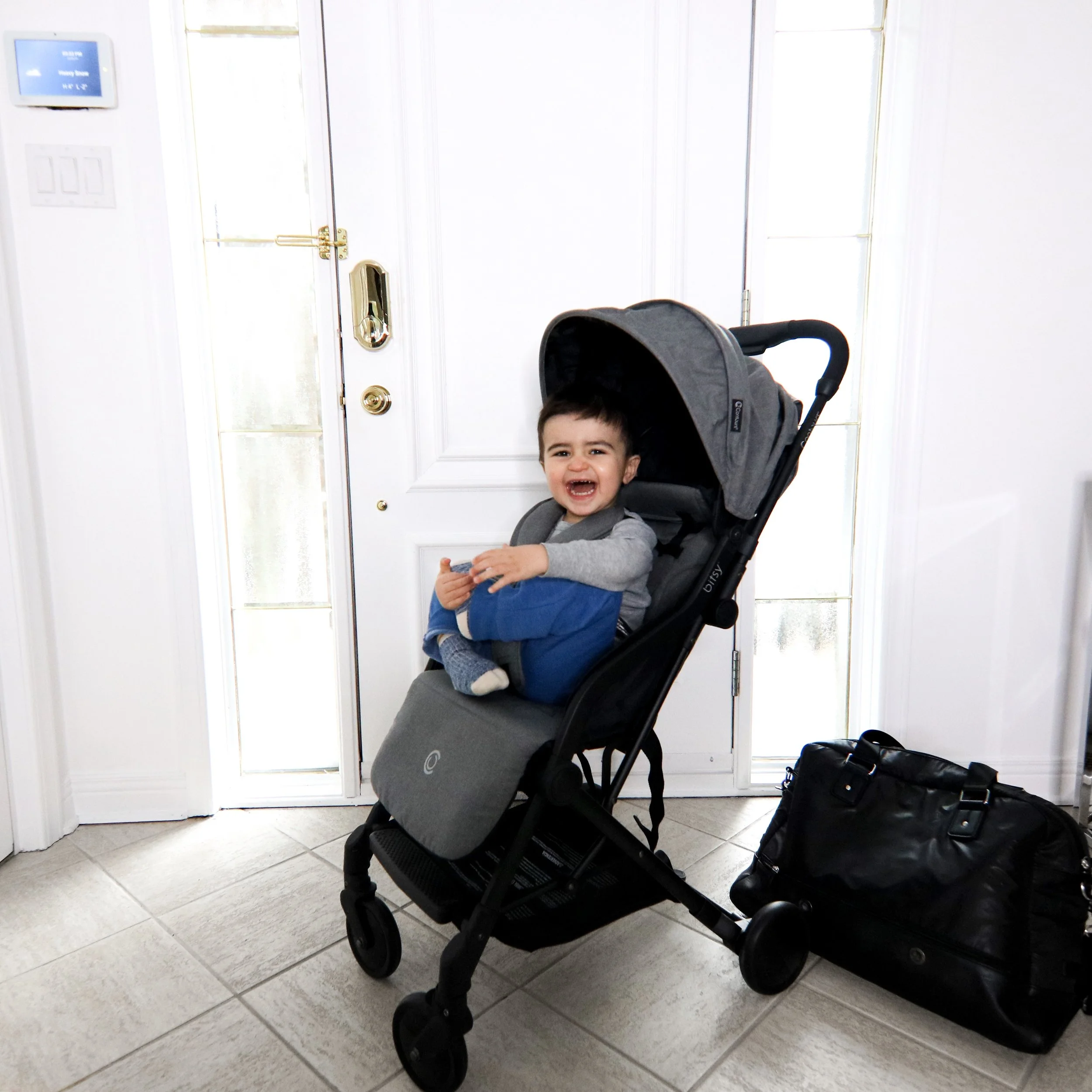 contours bitsy review