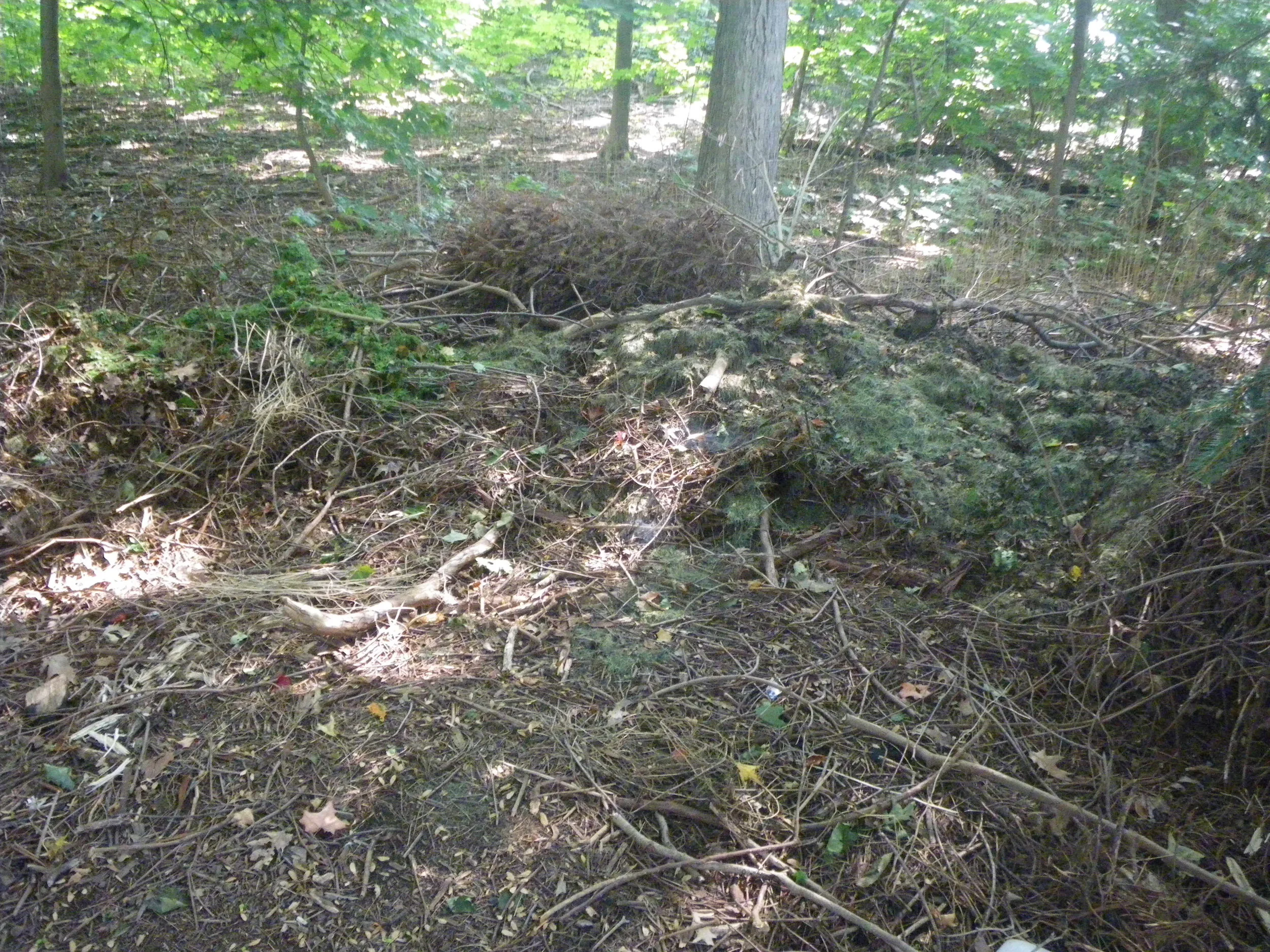 Grounds 6.JPG