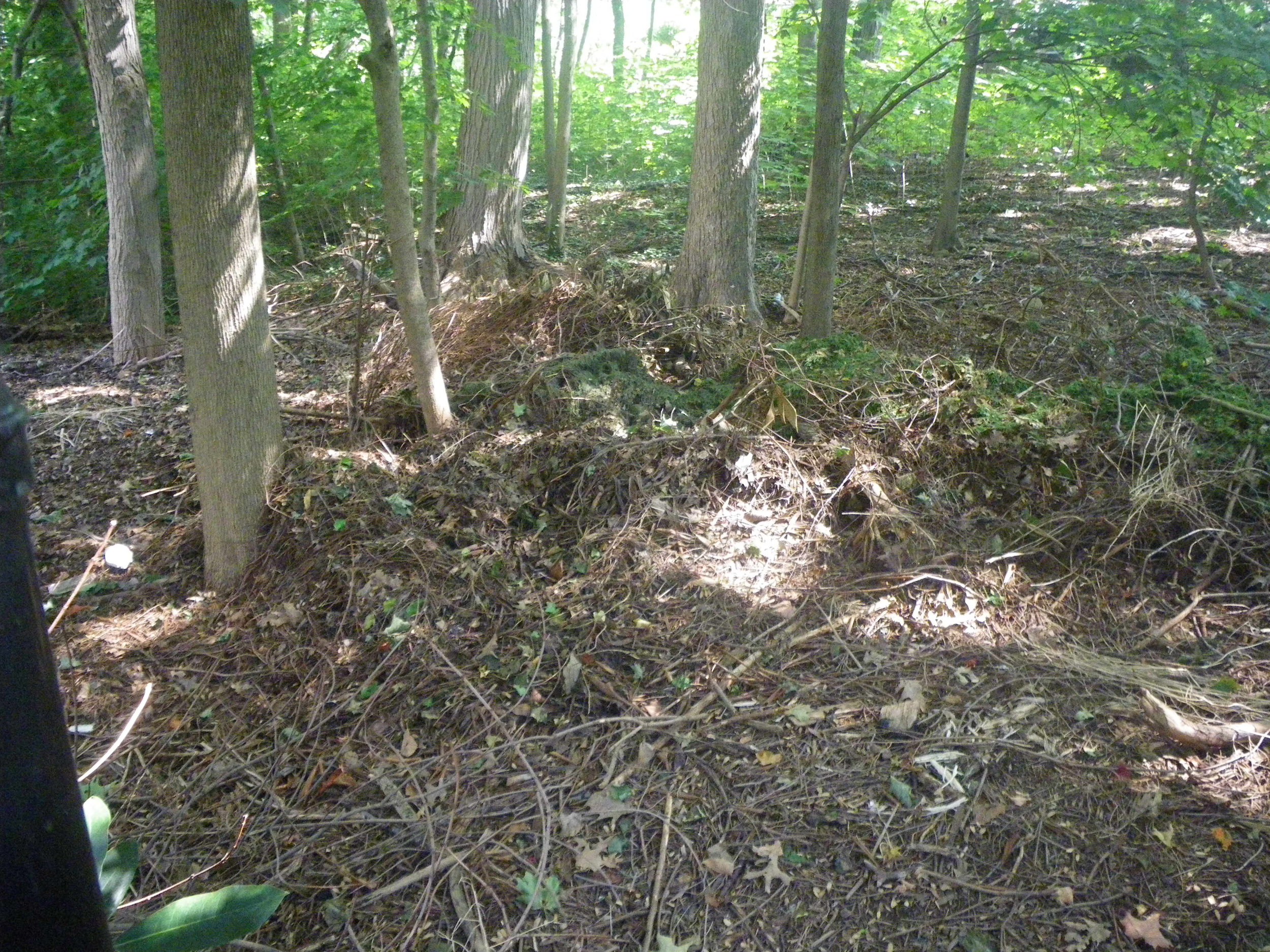 Grounds 7.JPG