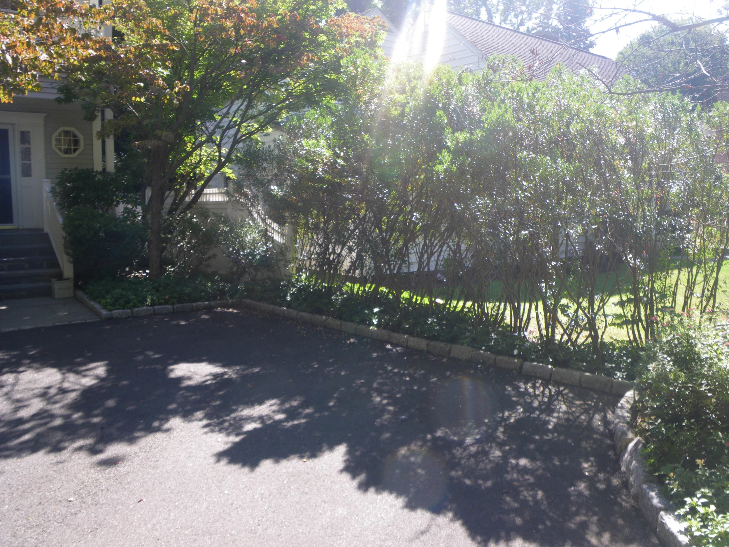 Grounds 13.JPG