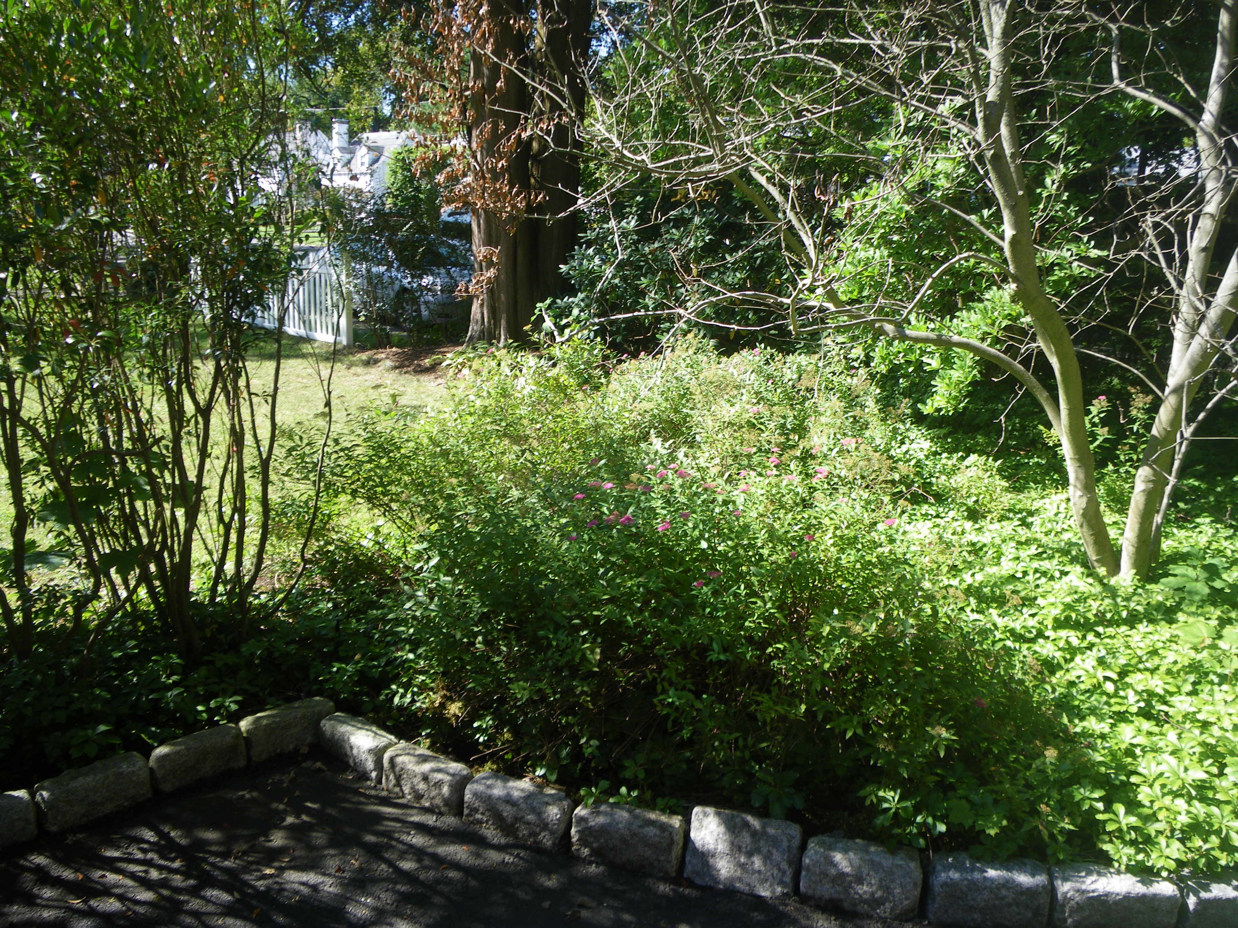 Grounds 15.JPG