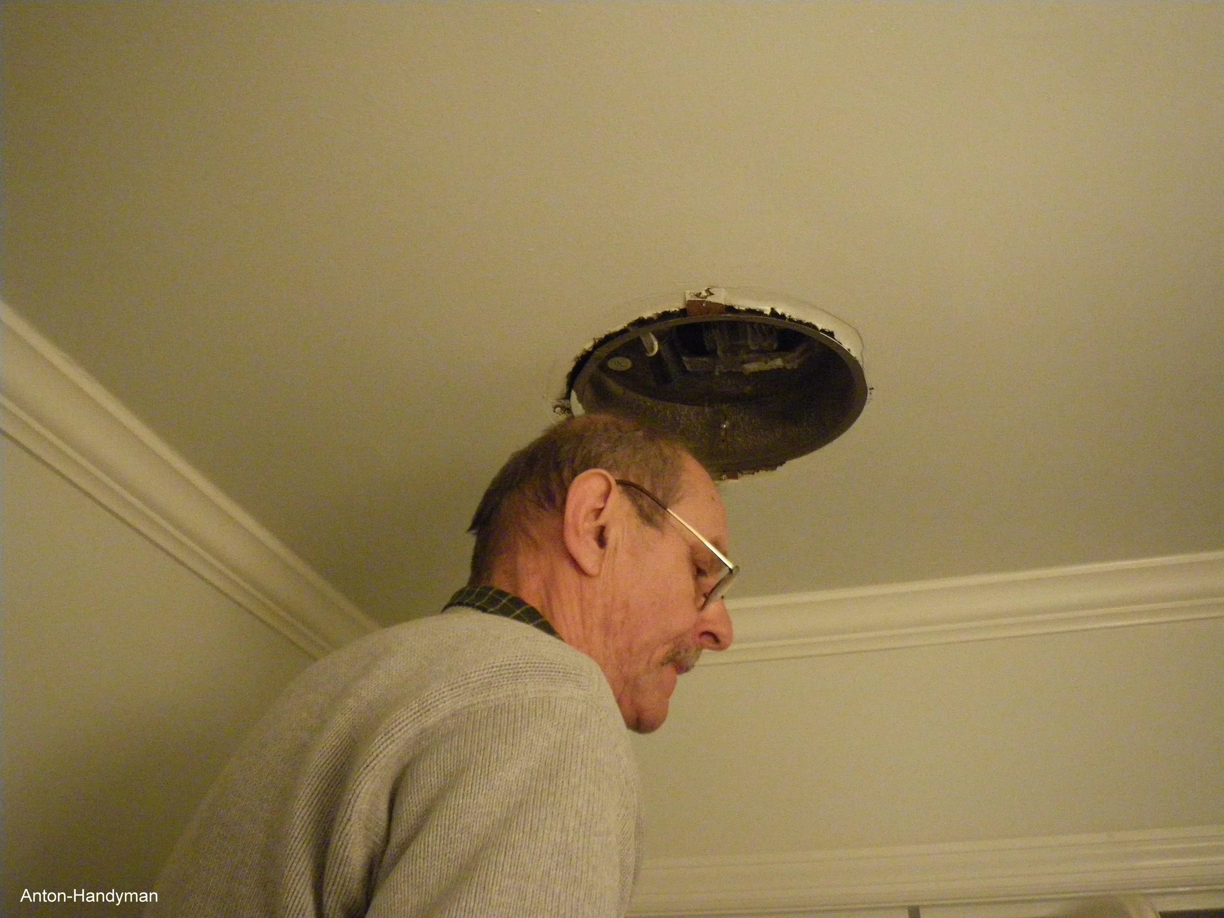 Fan 3.JPG