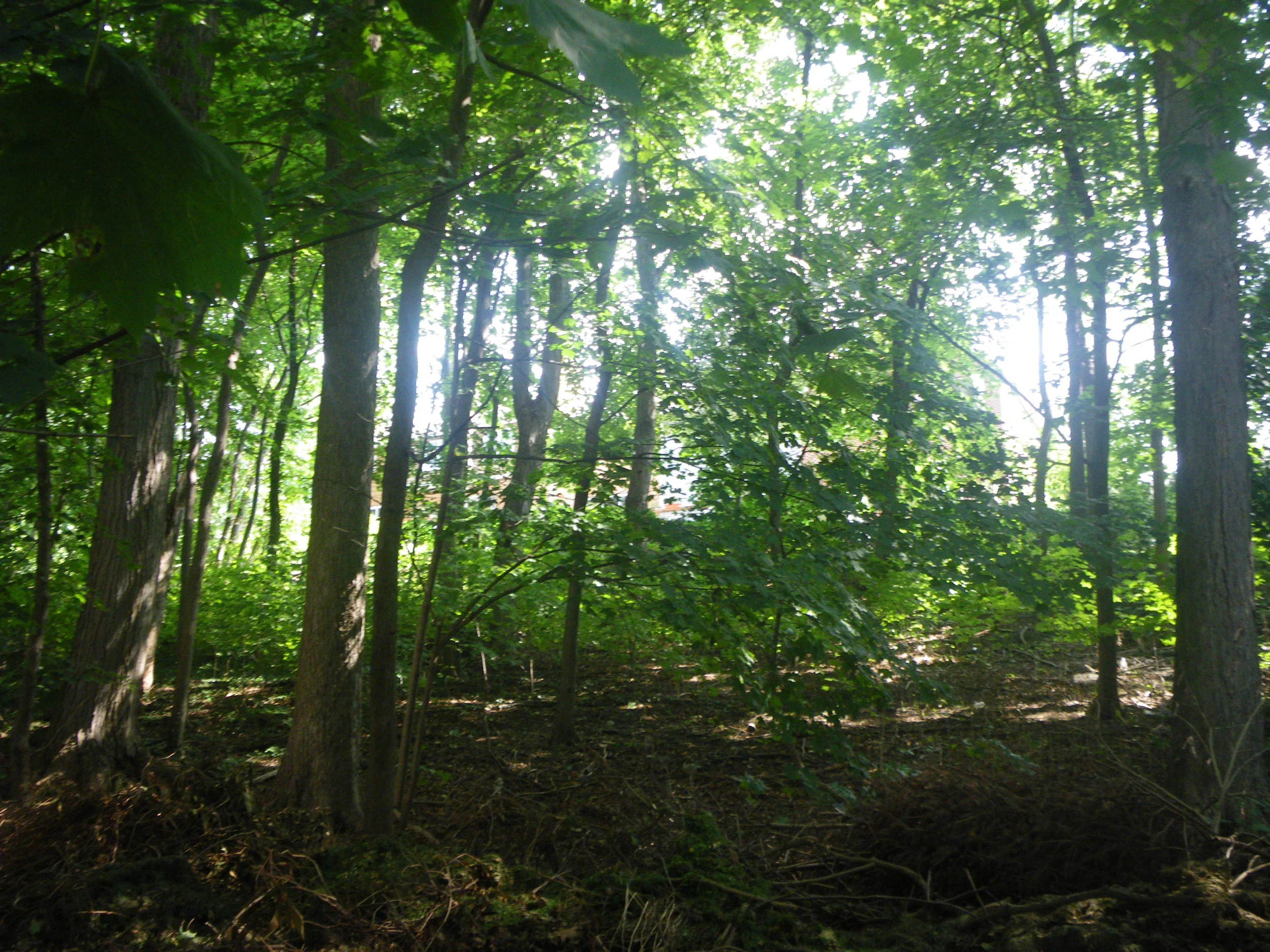 Grounds 7.JPG