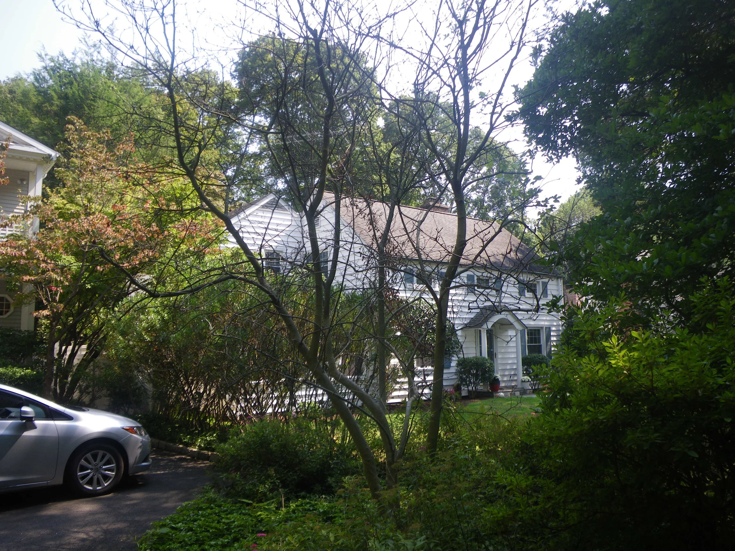 Grounds 14.JPG